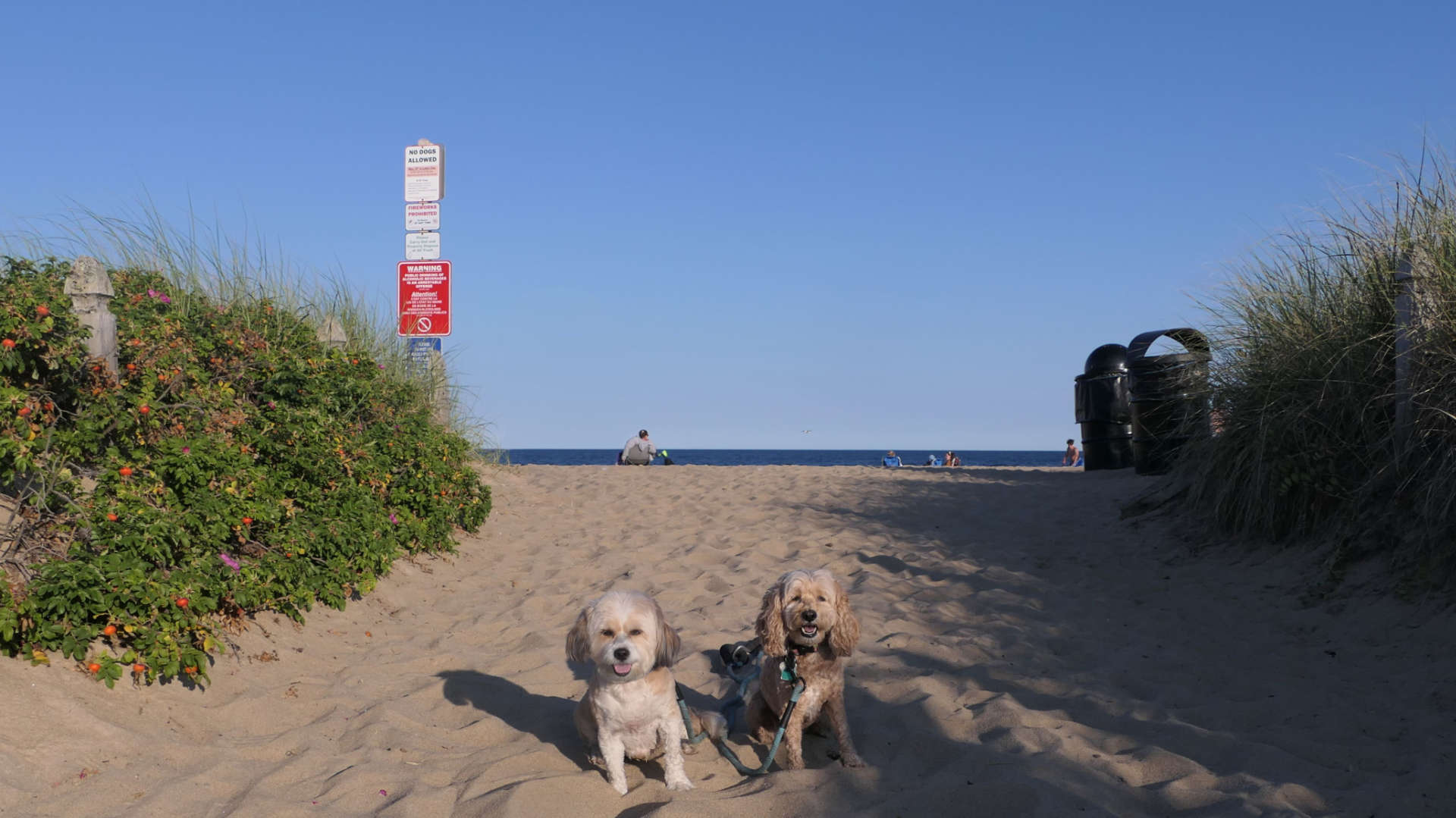 Old_Orchard_Beach36