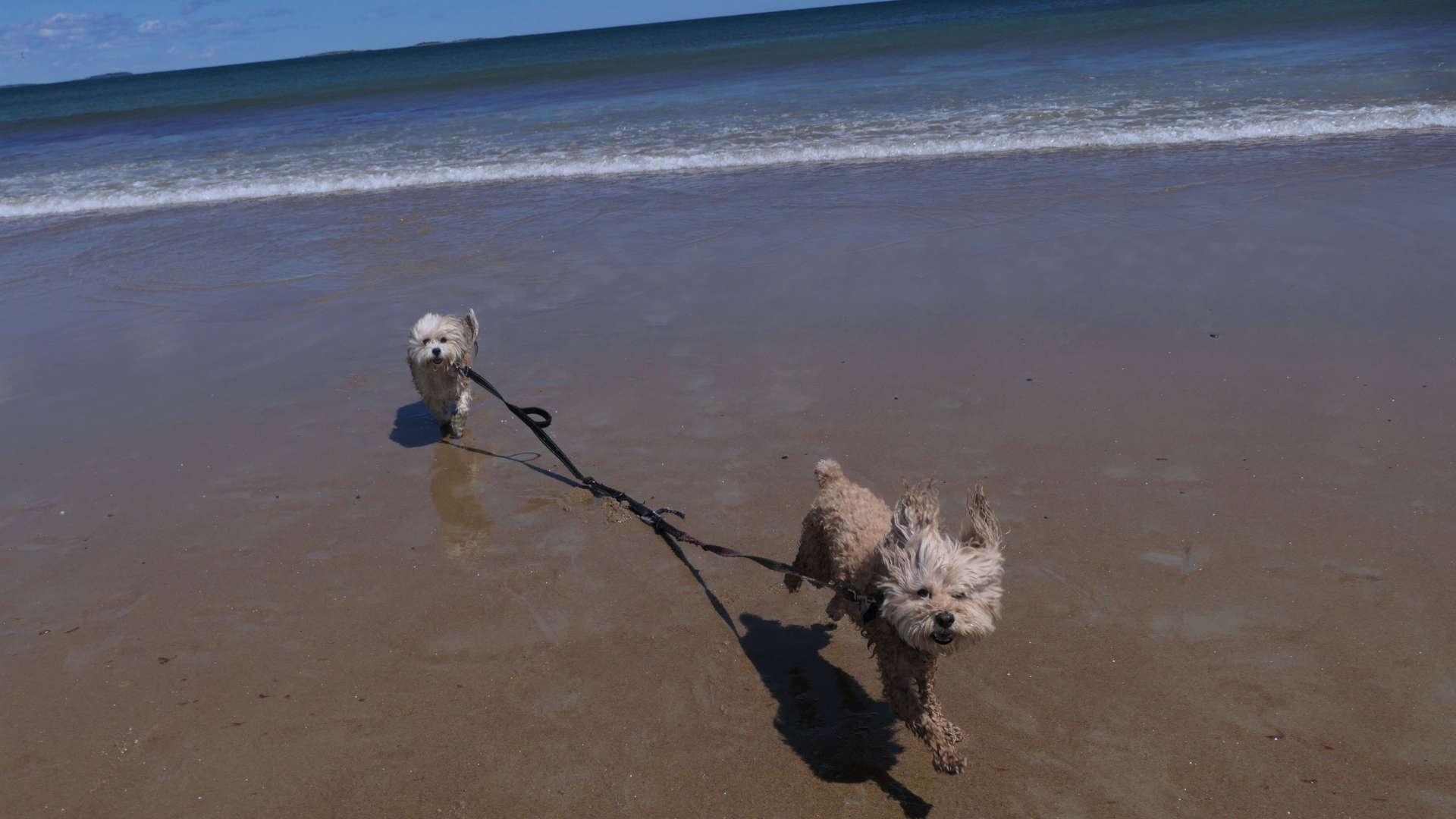 Old_Orchard_Beach4