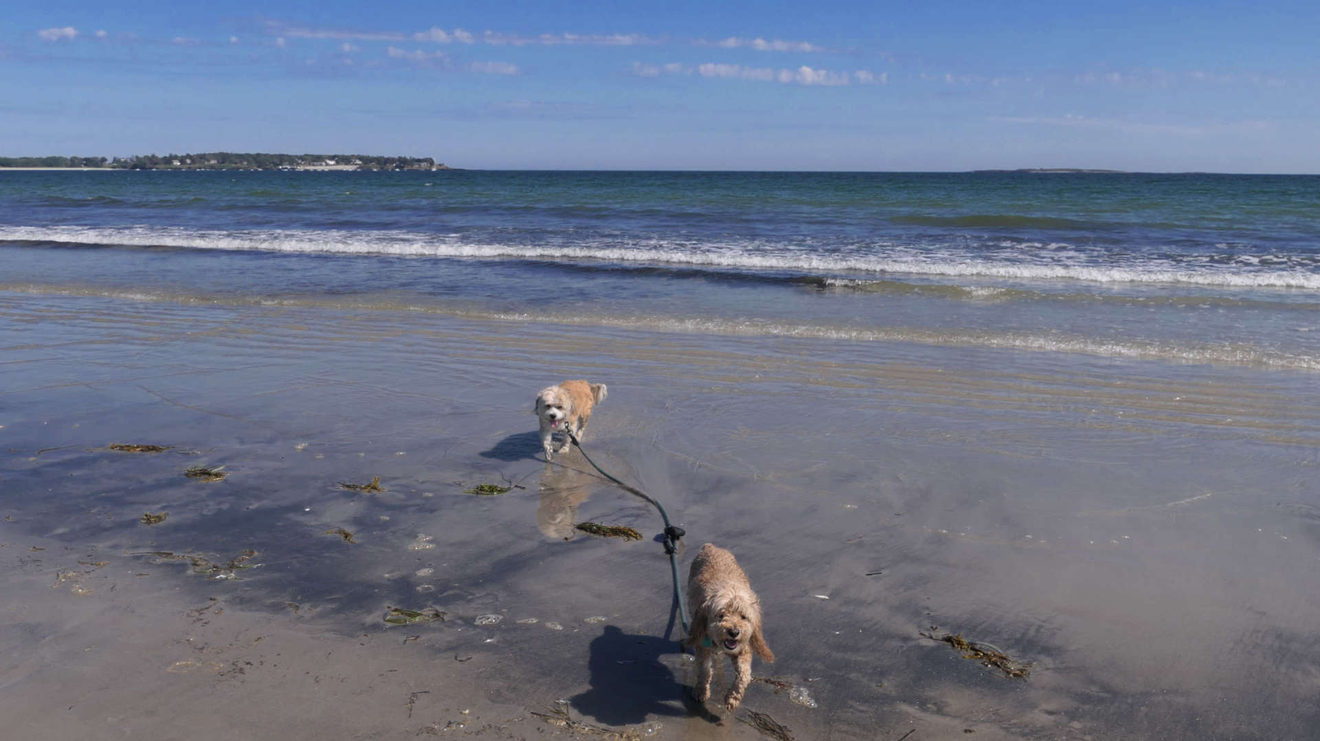 Old_Orchard_Beach41
