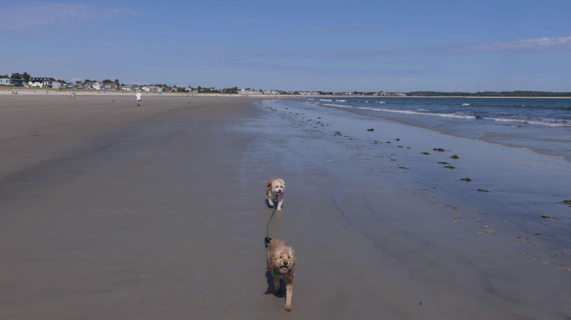 Old_Orchard_Beach42