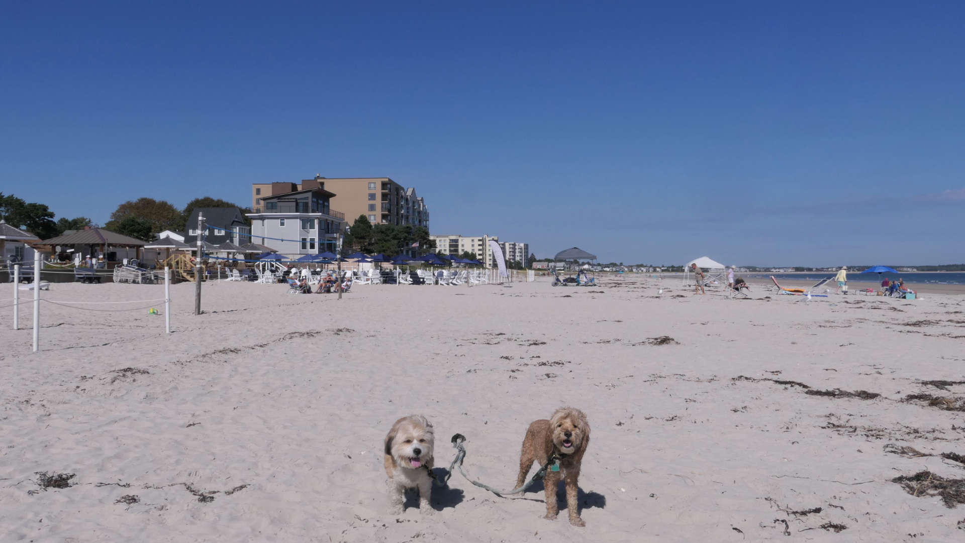 Old_Orchard_Beach43