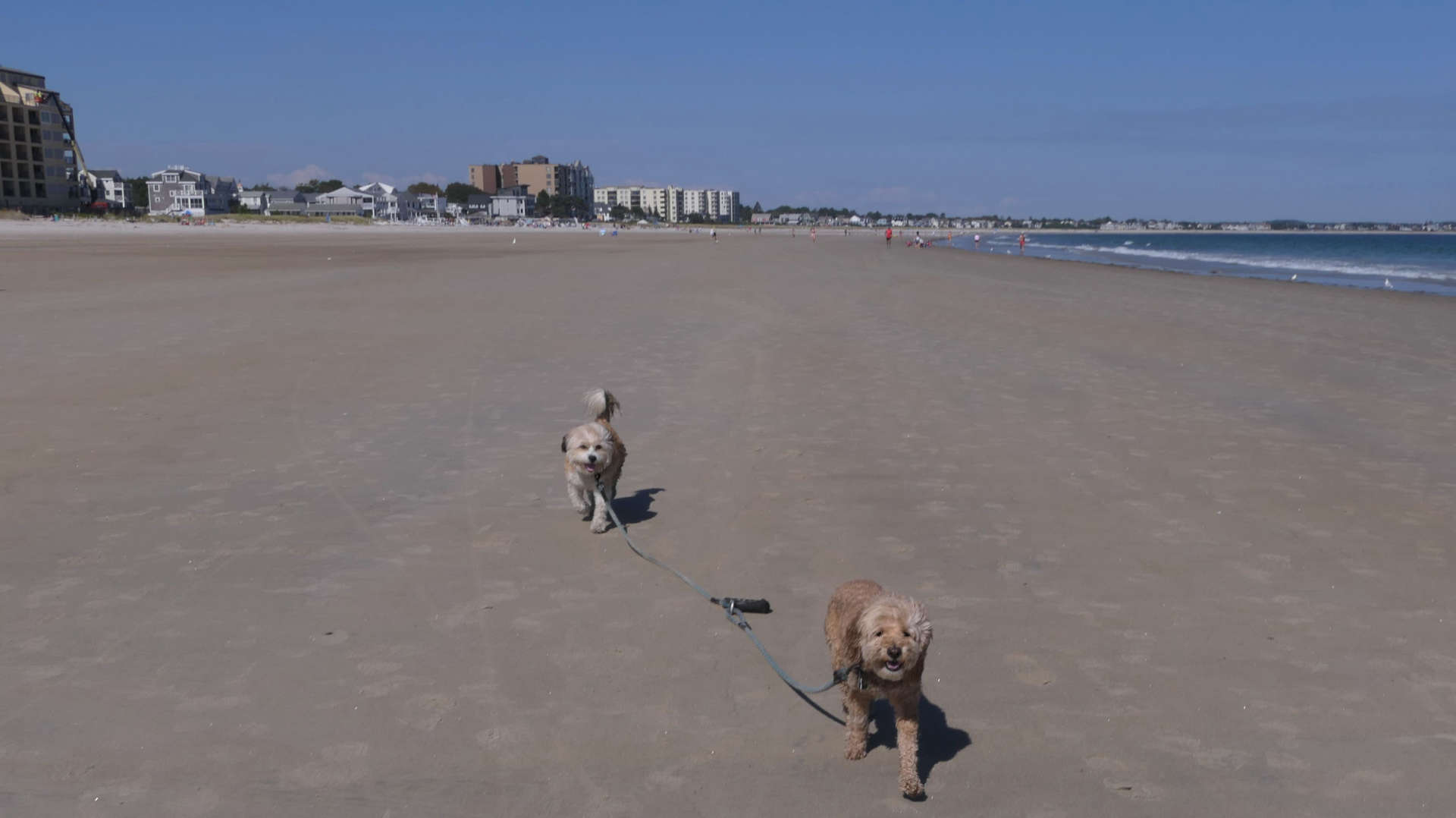 Old_Orchard_Beach44