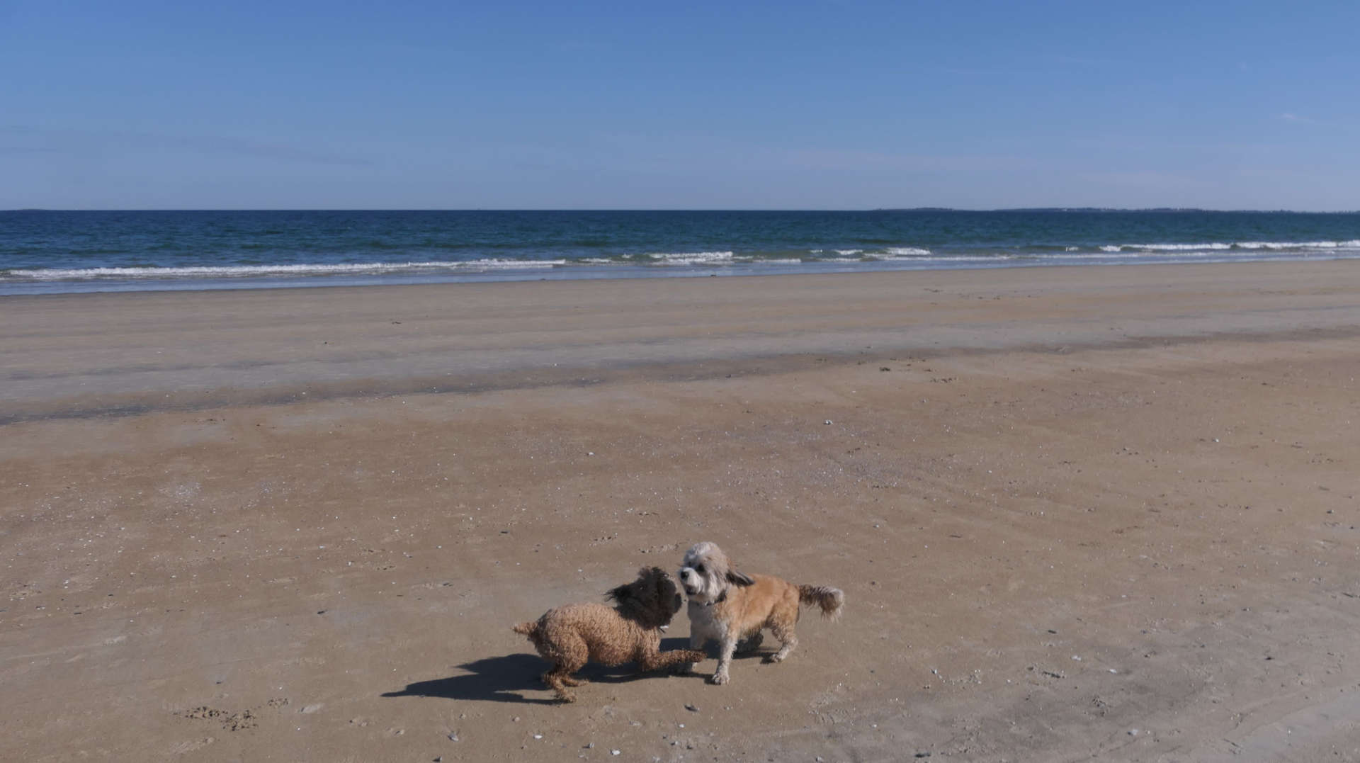 Old_Orchard_Beach45