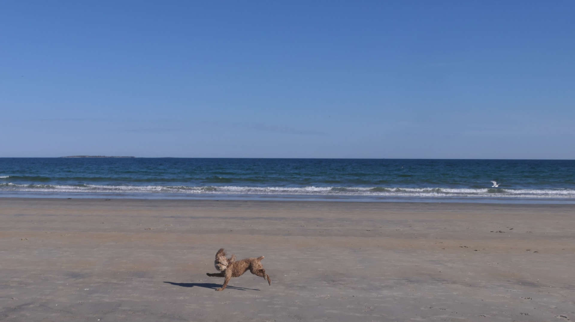 Old_Orchard_Beach46