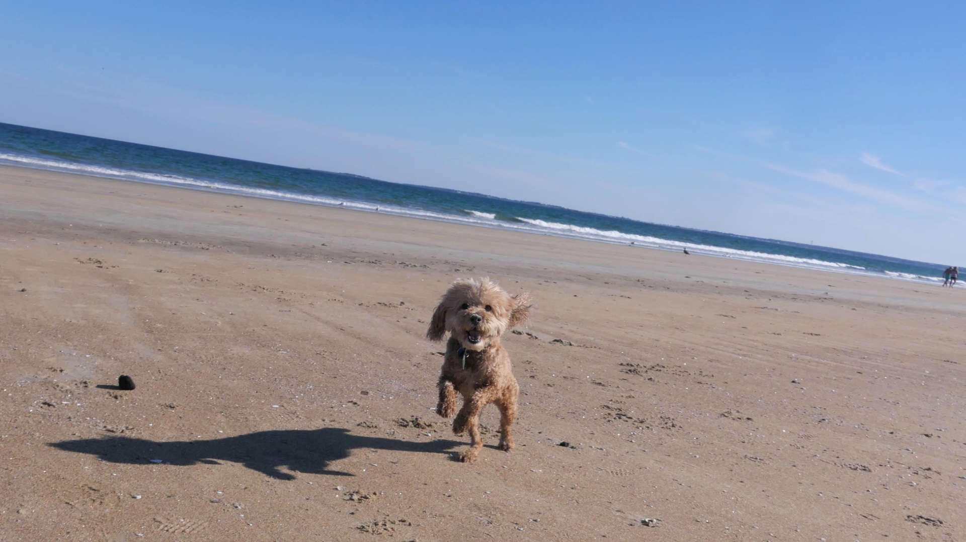 Old_Orchard_Beach49