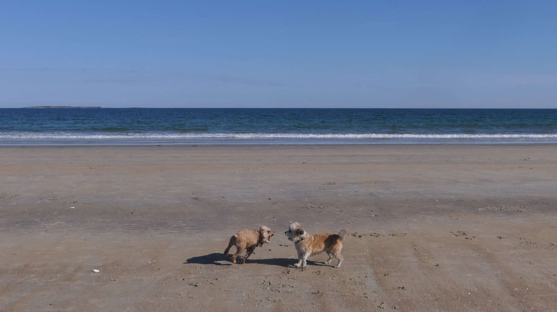 Old_Orchard_Beach50