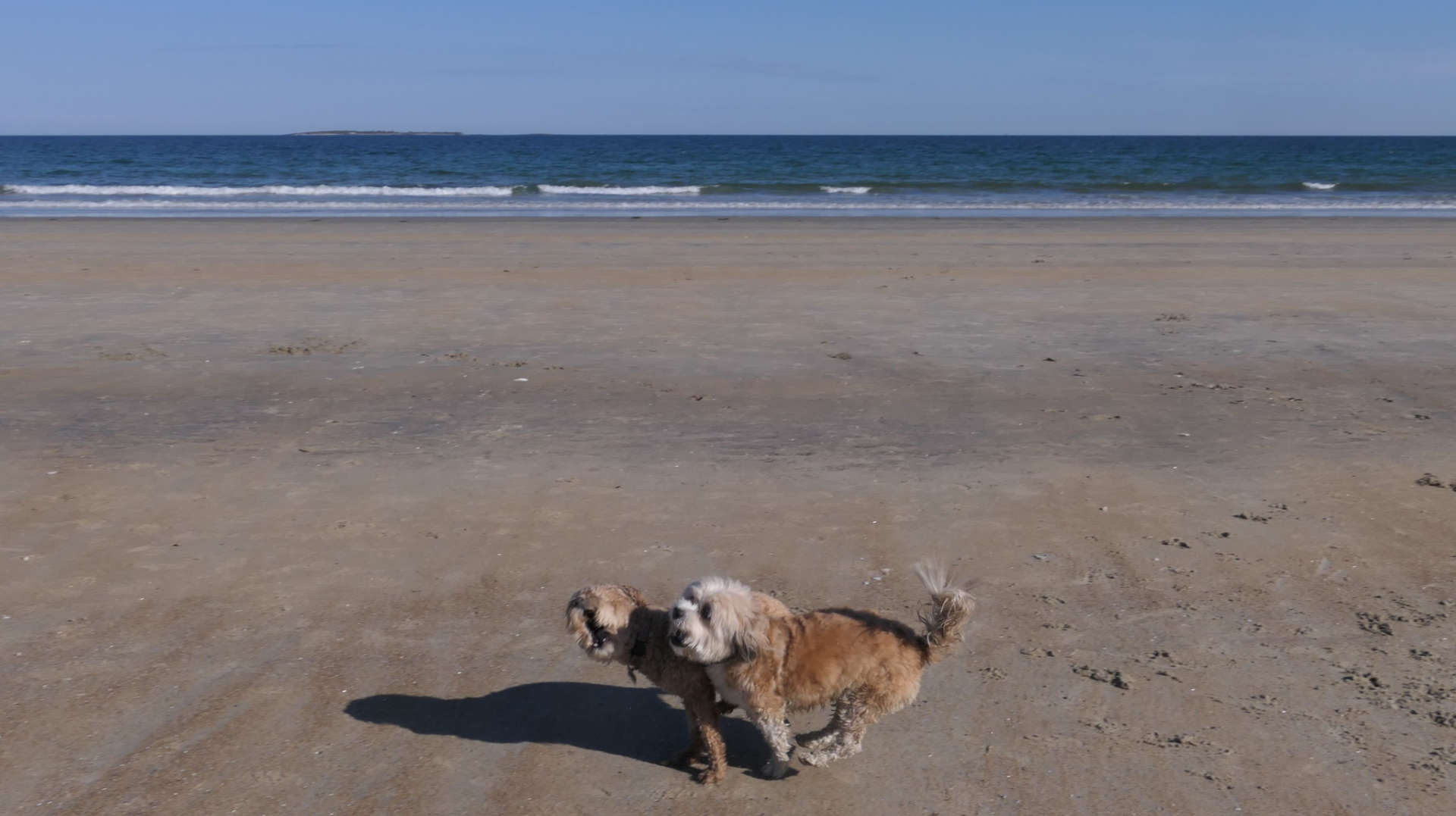 Old_Orchard_Beach51