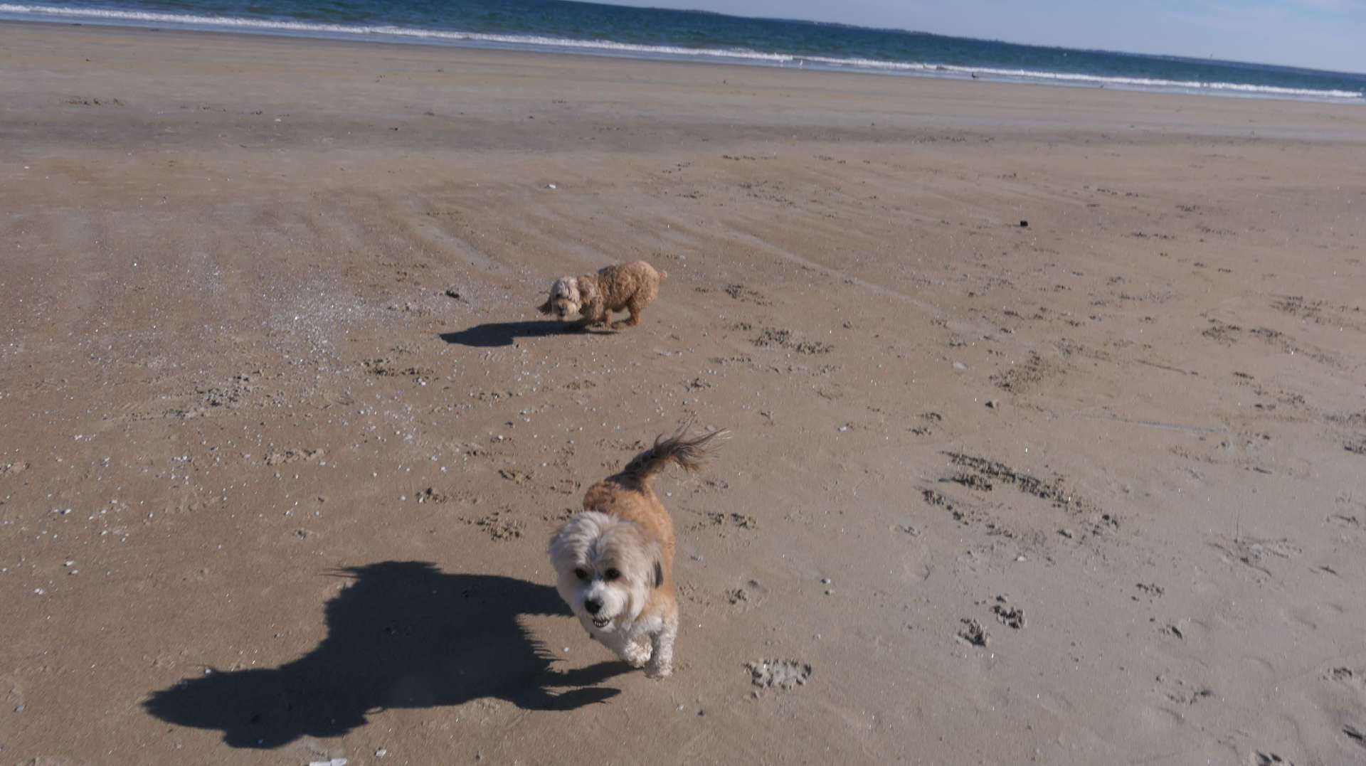 Old_Orchard_Beach53