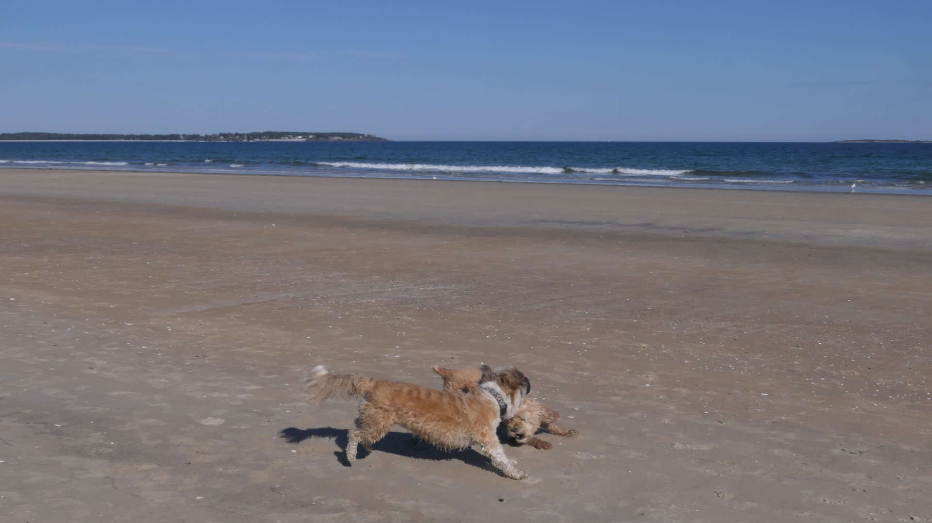 Old_Orchard_Beach55