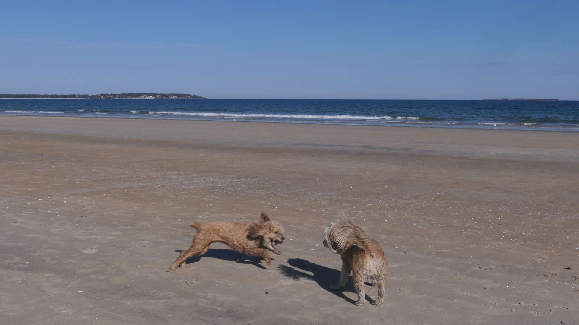 Old_Orchard_Beach56