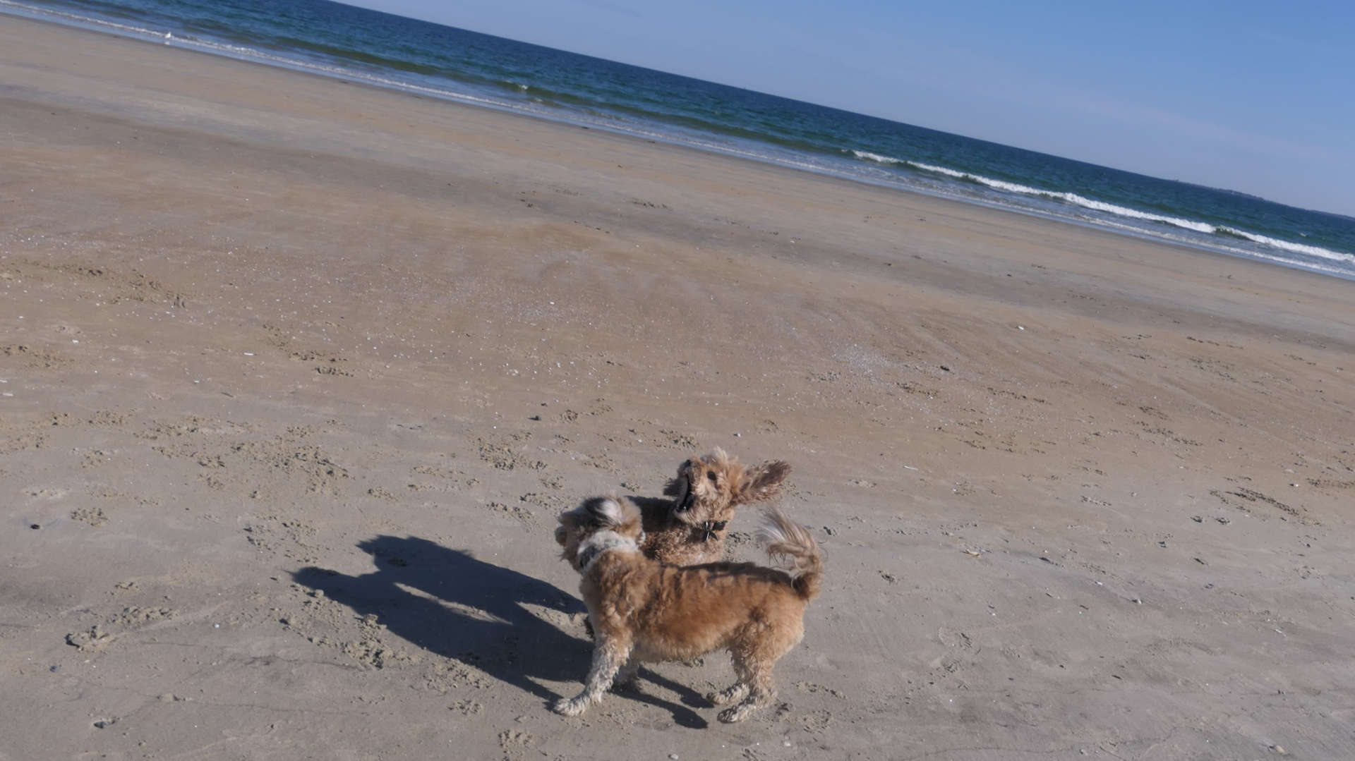 Old_Orchard_Beach58