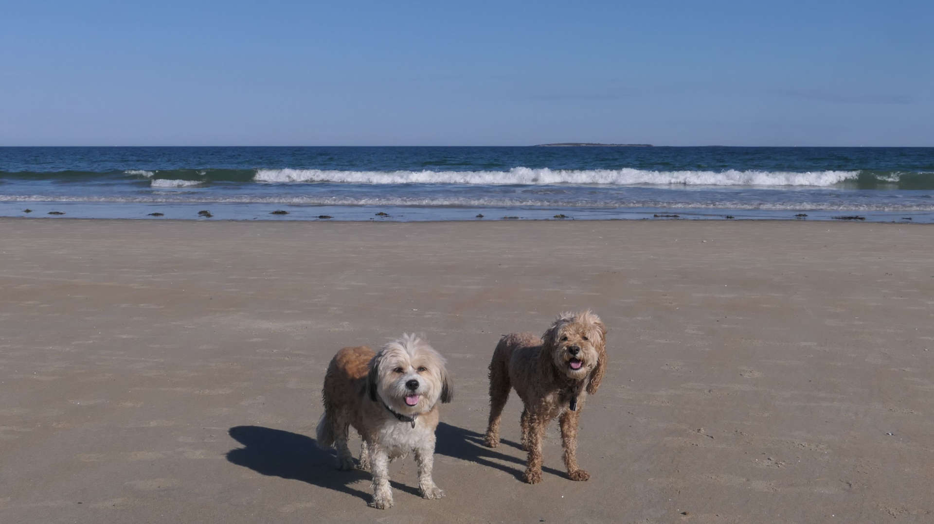 Old_Orchard_Beach59