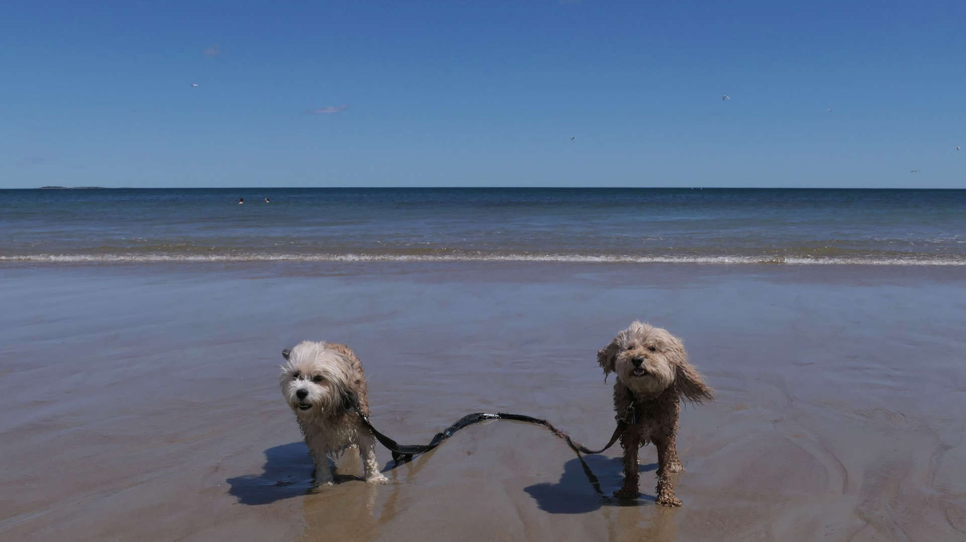 Old_Orchard_Beach6