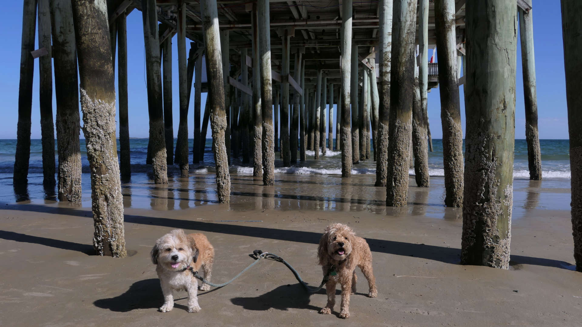 Old_Orchard_Beach63