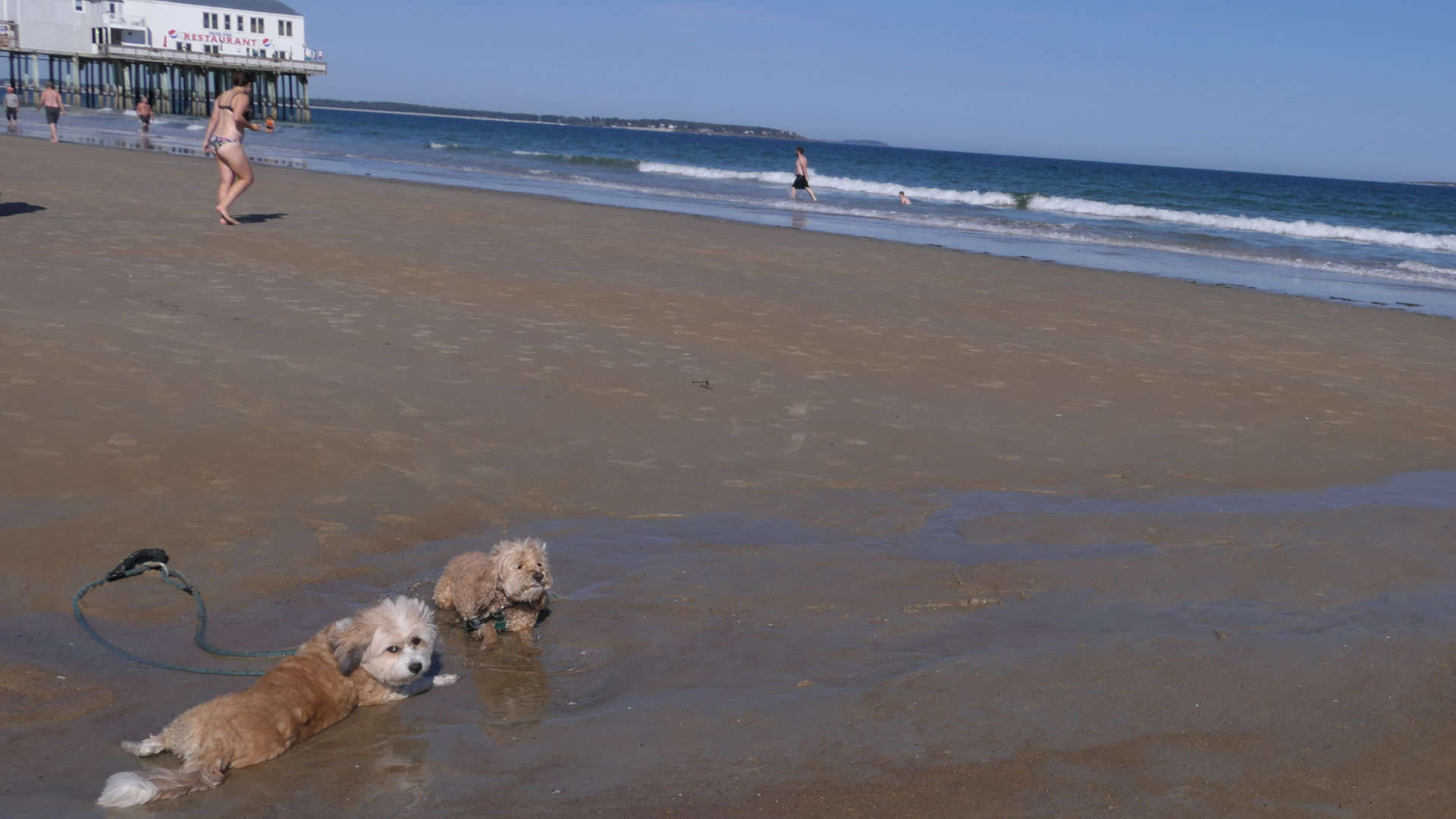 Old_Orchard_Beach69