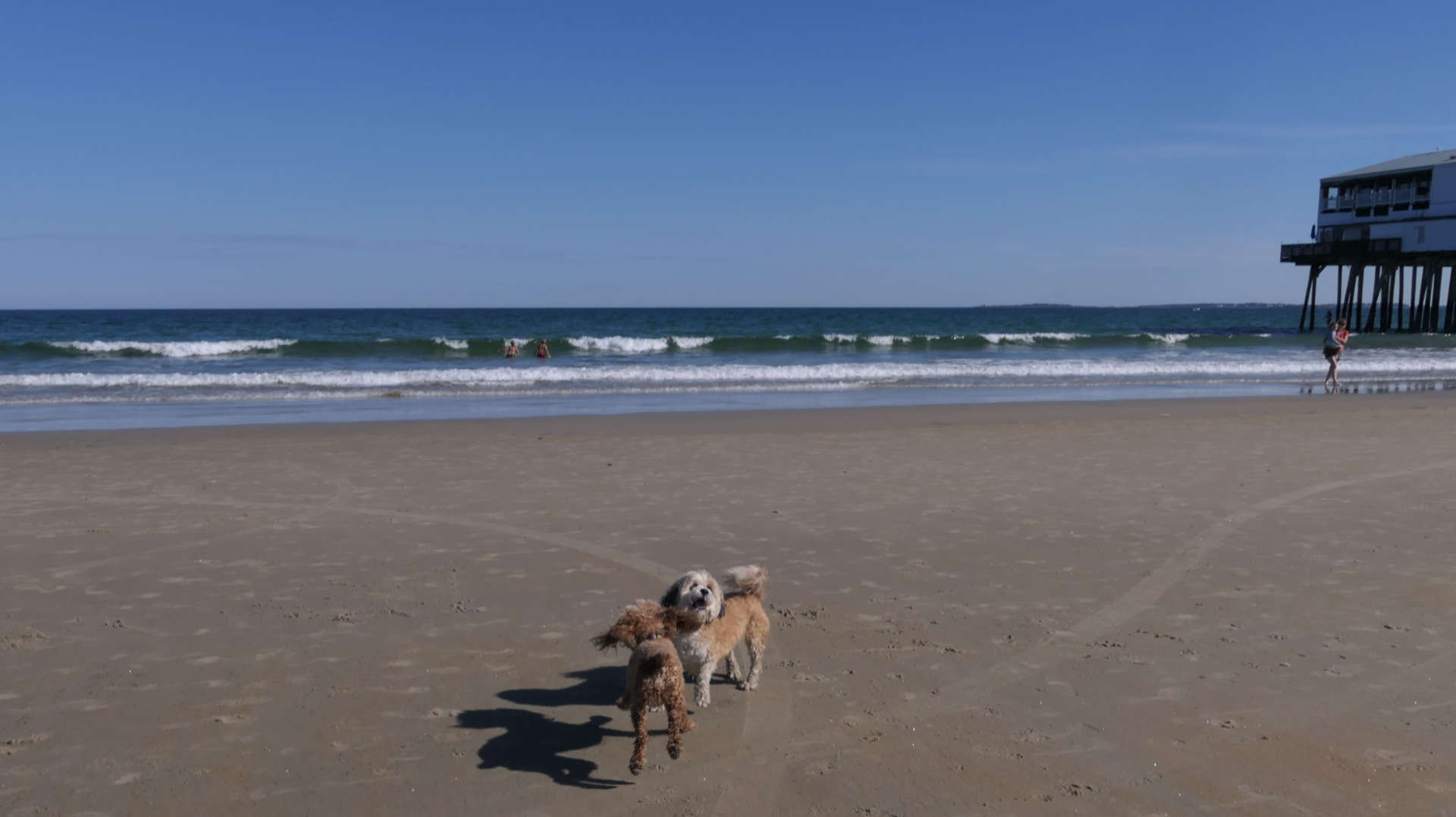 Old_Orchard_Beach71