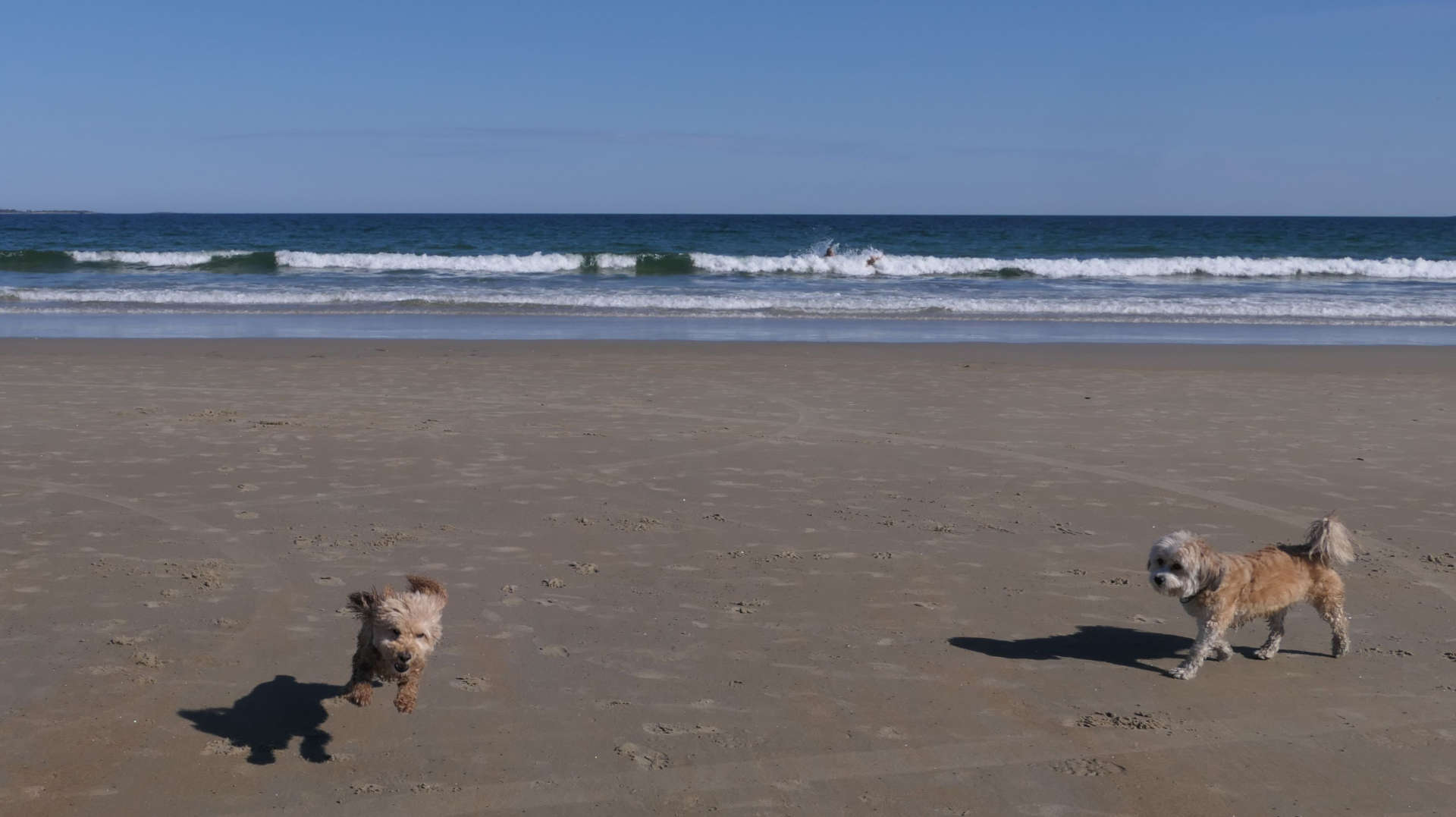 Old_Orchard_Beach72