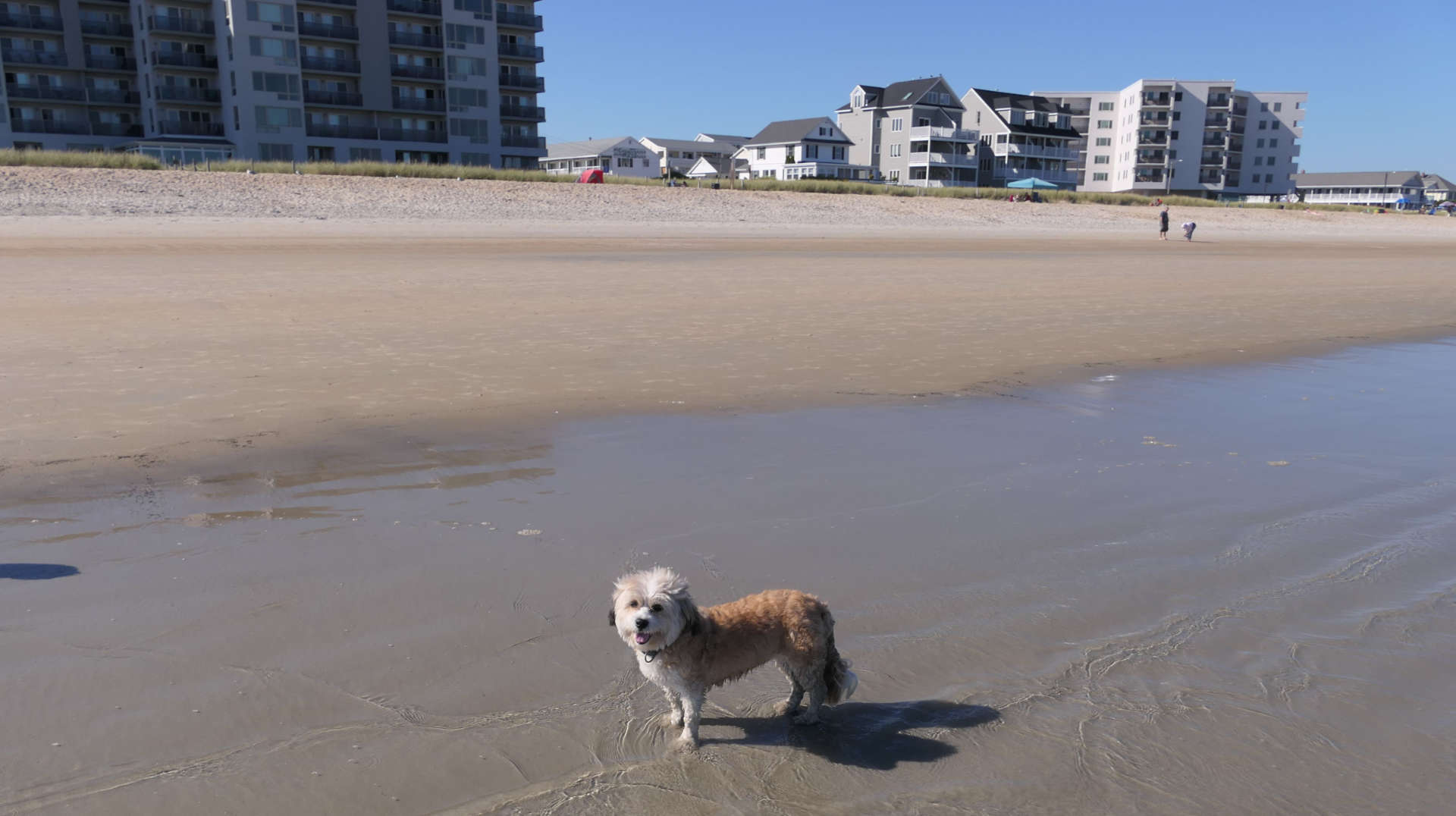 Old_Orchard_Beach77