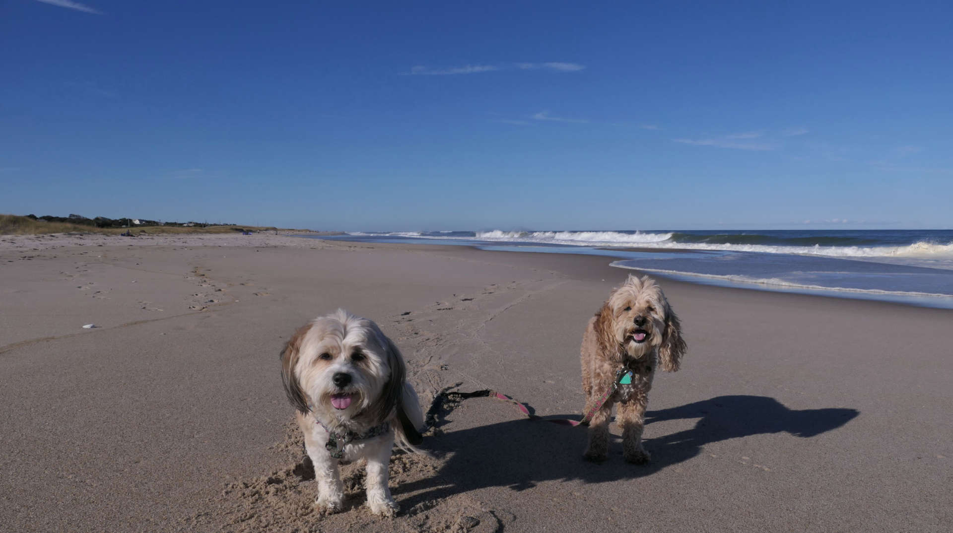 Nauset Beach