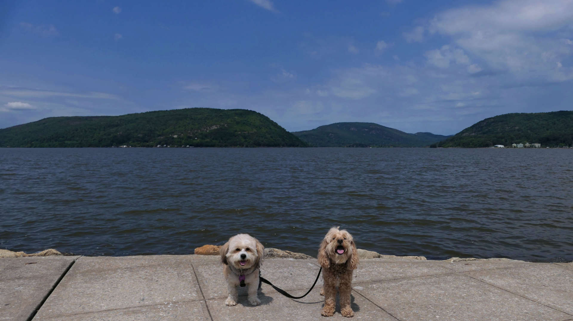 Peekskill11