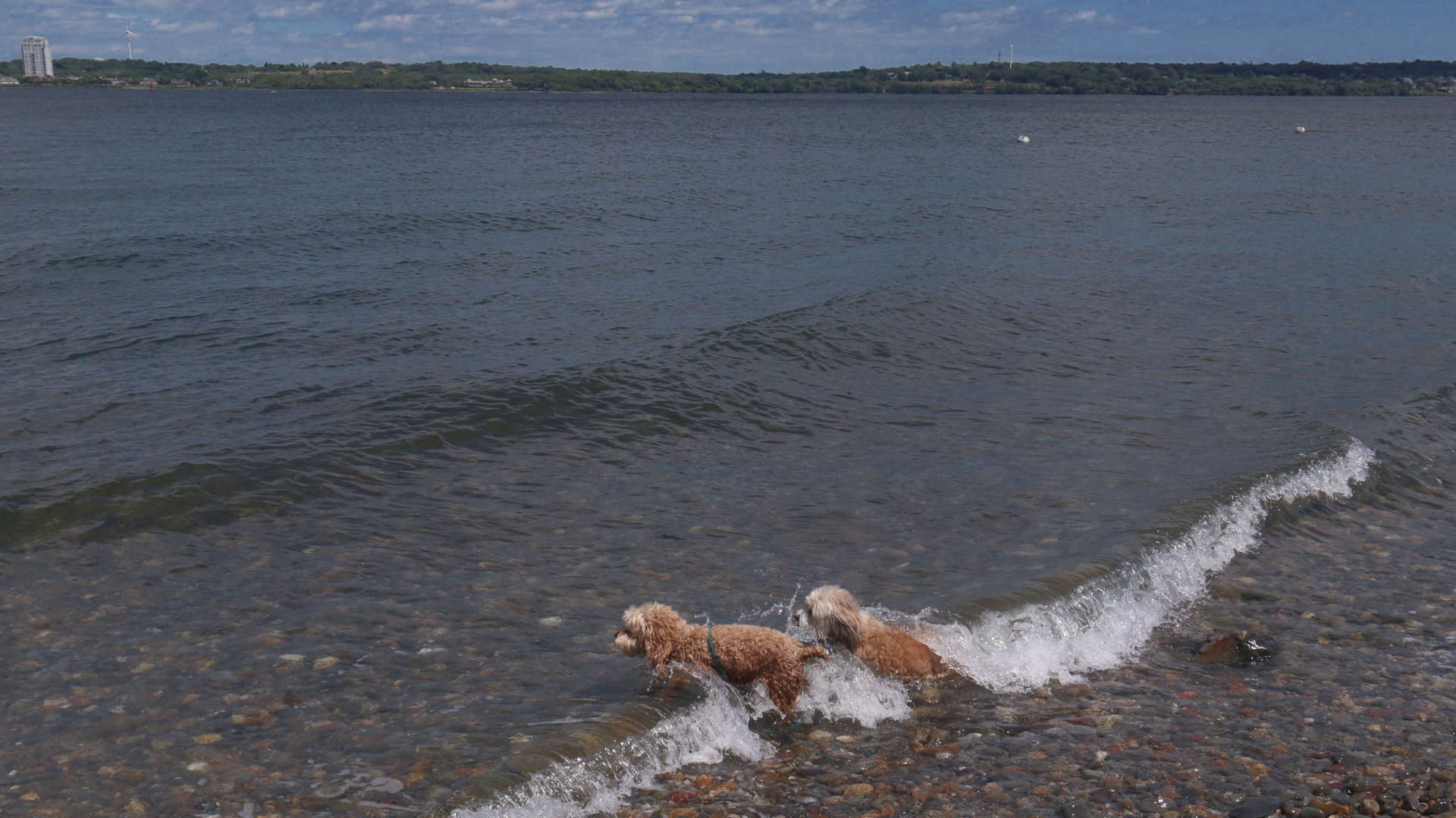 Portsmouth216