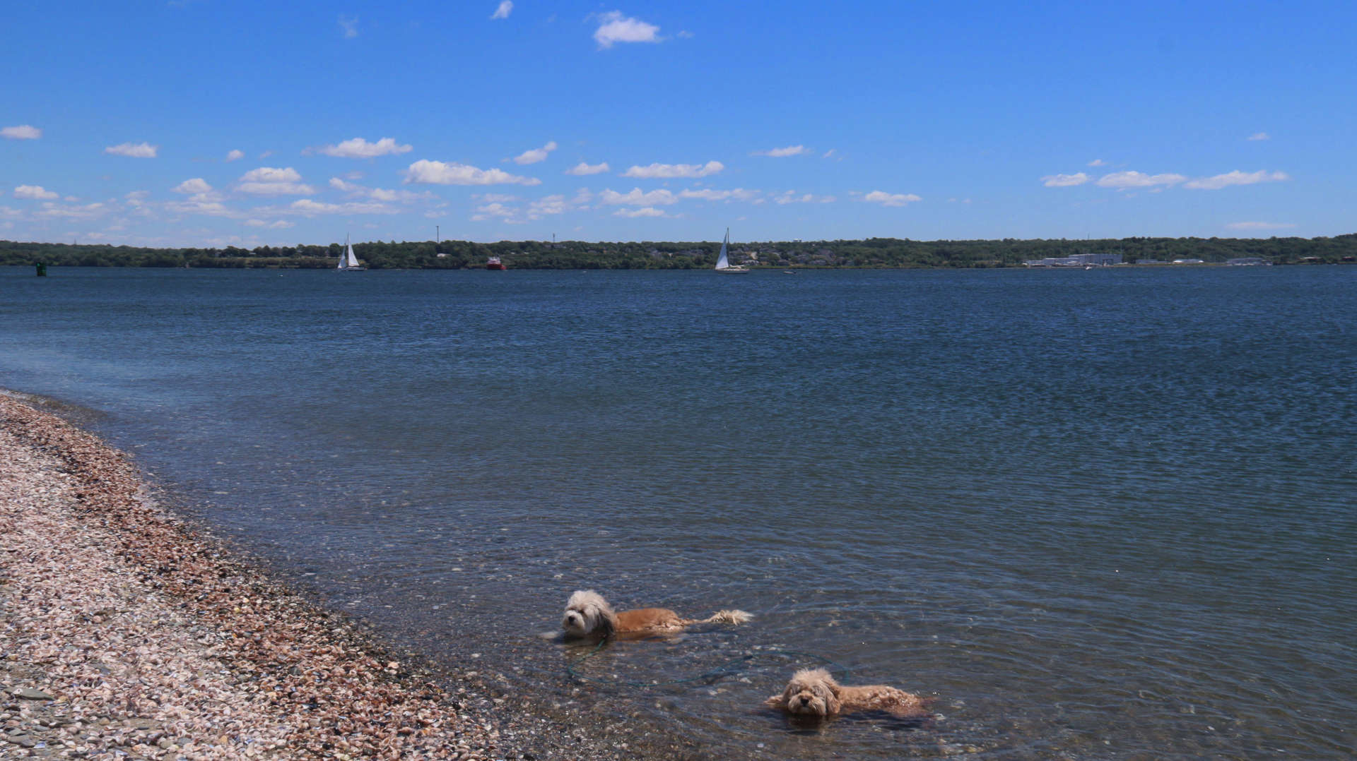 Portsmouth224