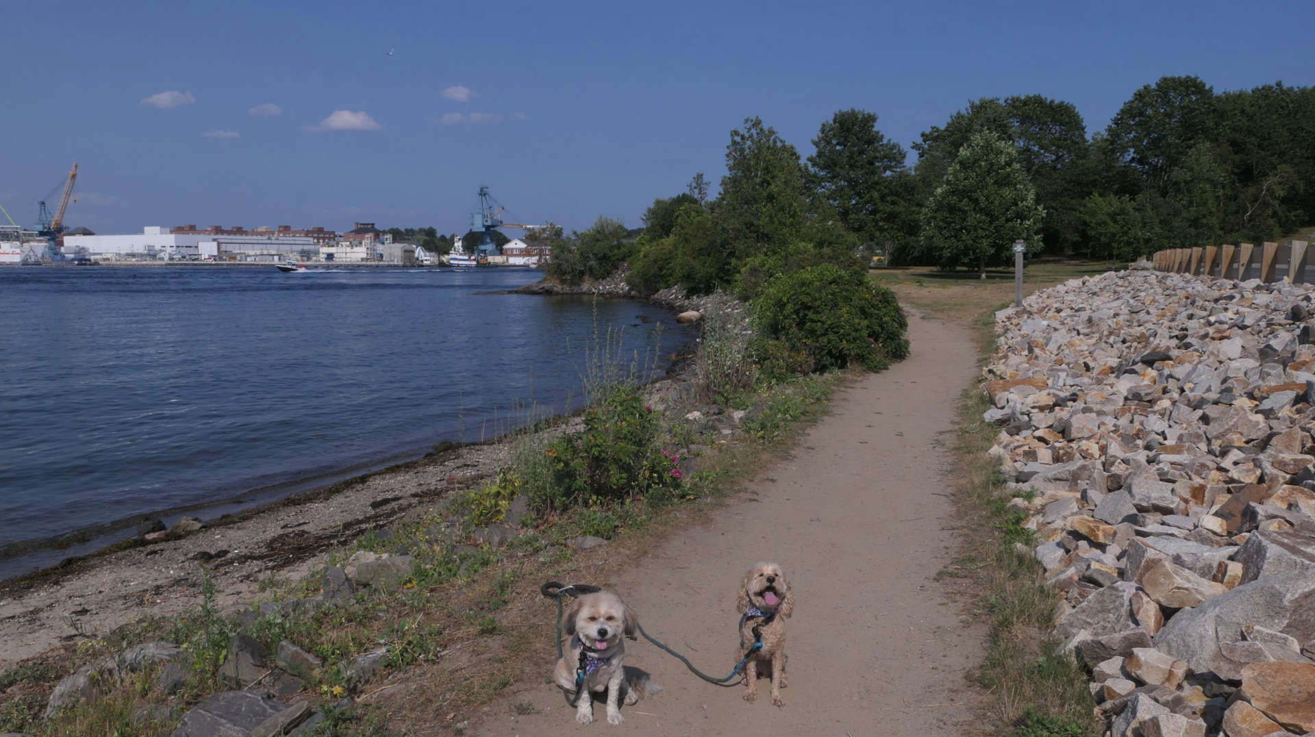 PortsmouthNH24