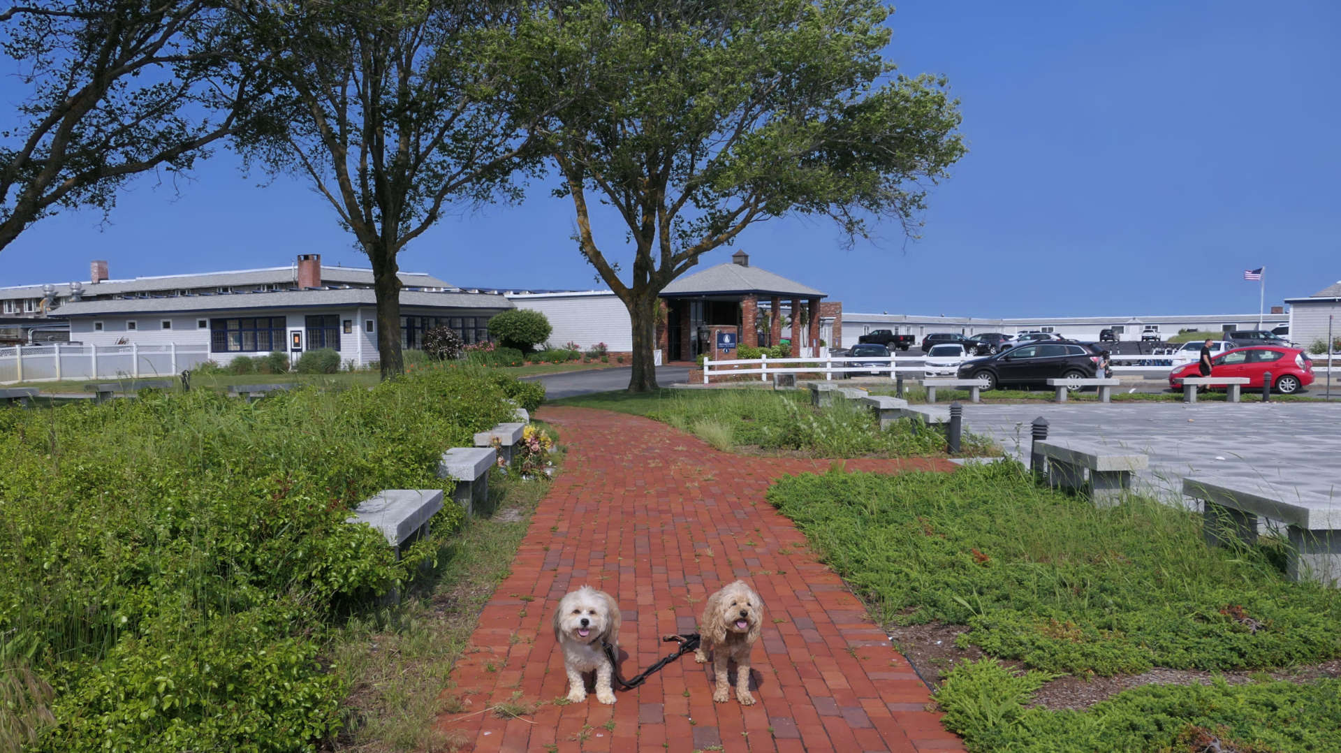 Provincetown56