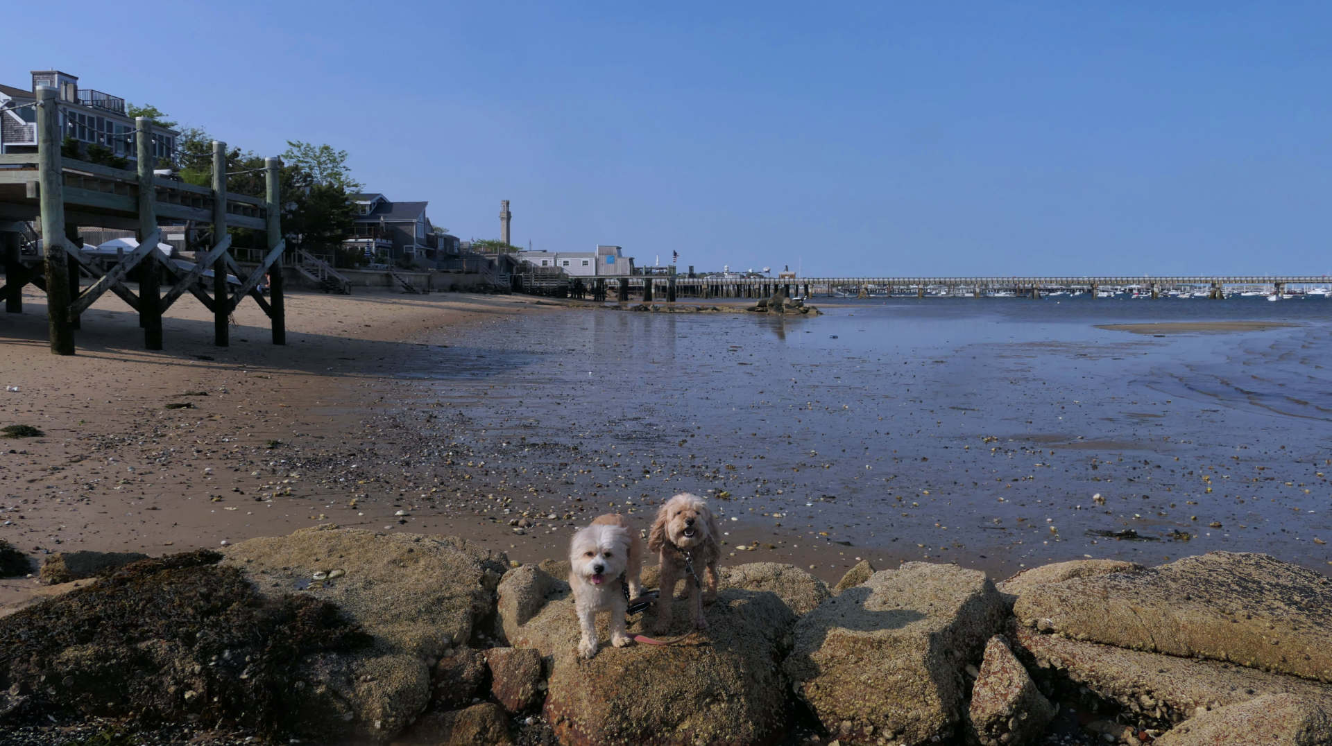 Provincetown80