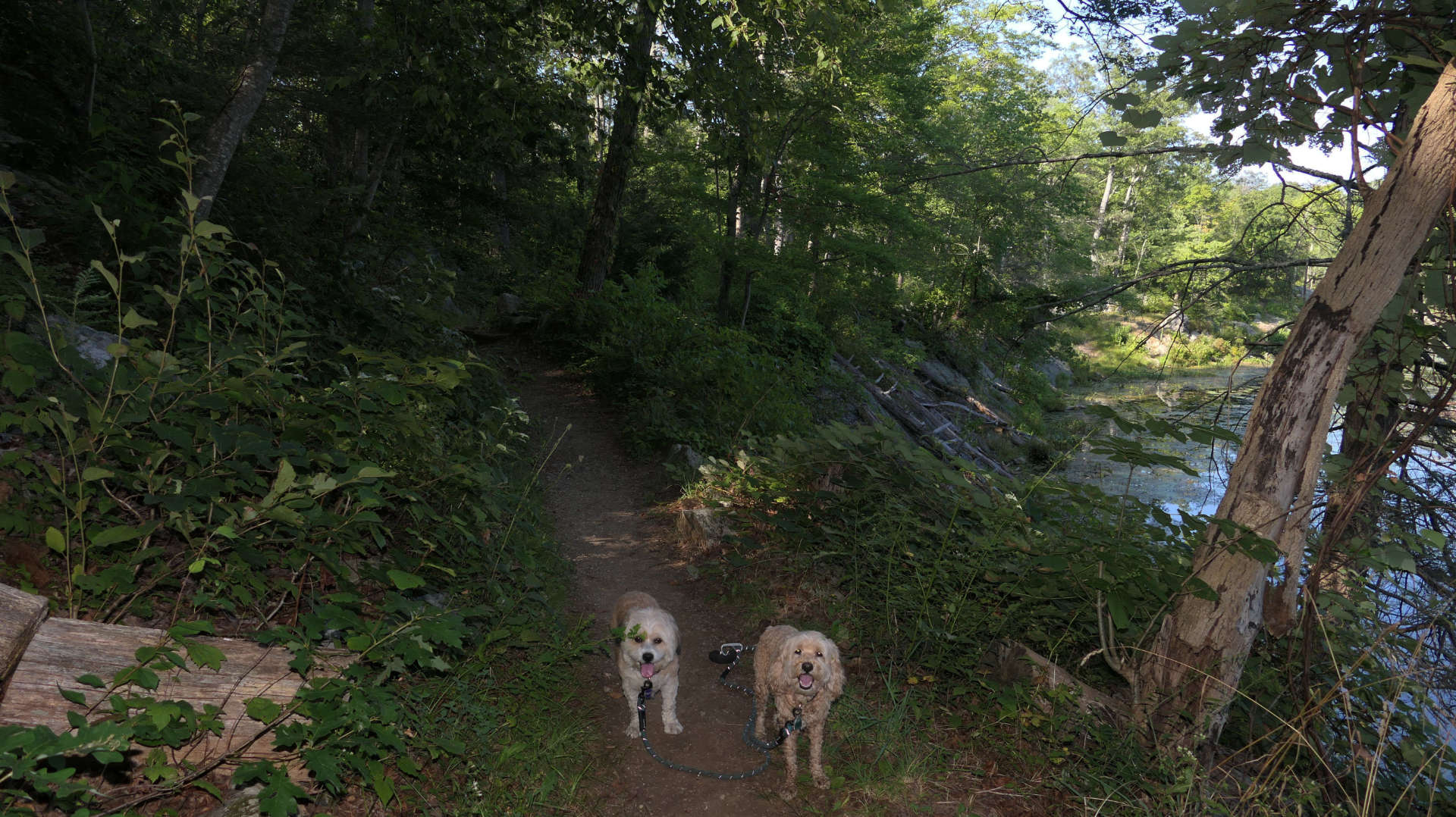 Putnam_Valley6