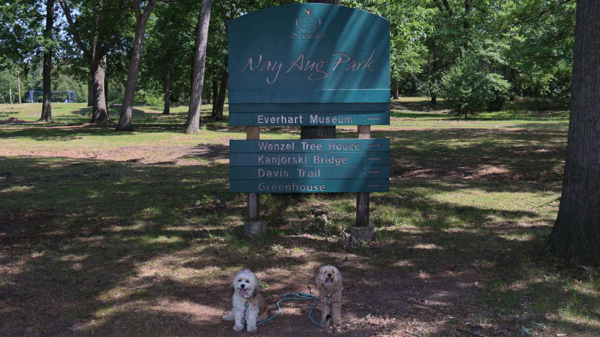 Scranton13