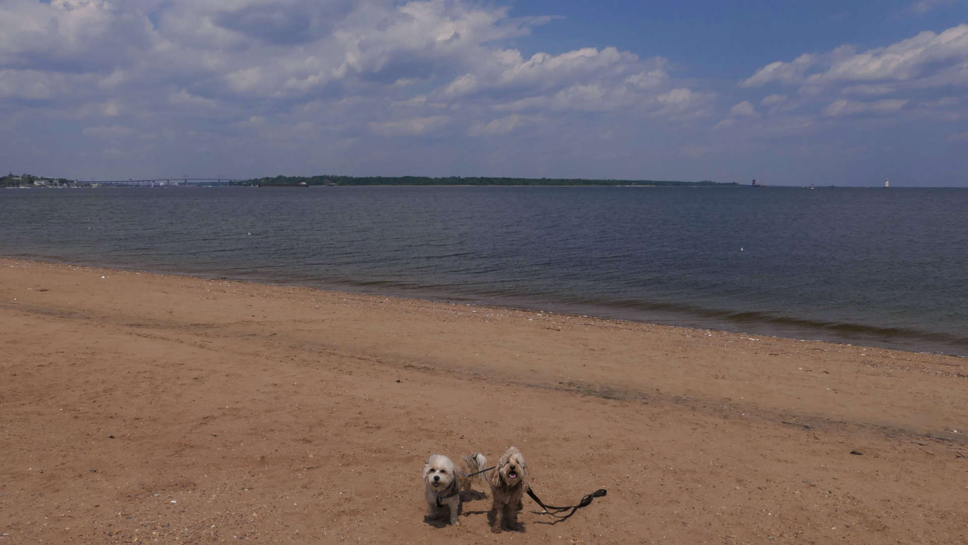 South_Amboy6