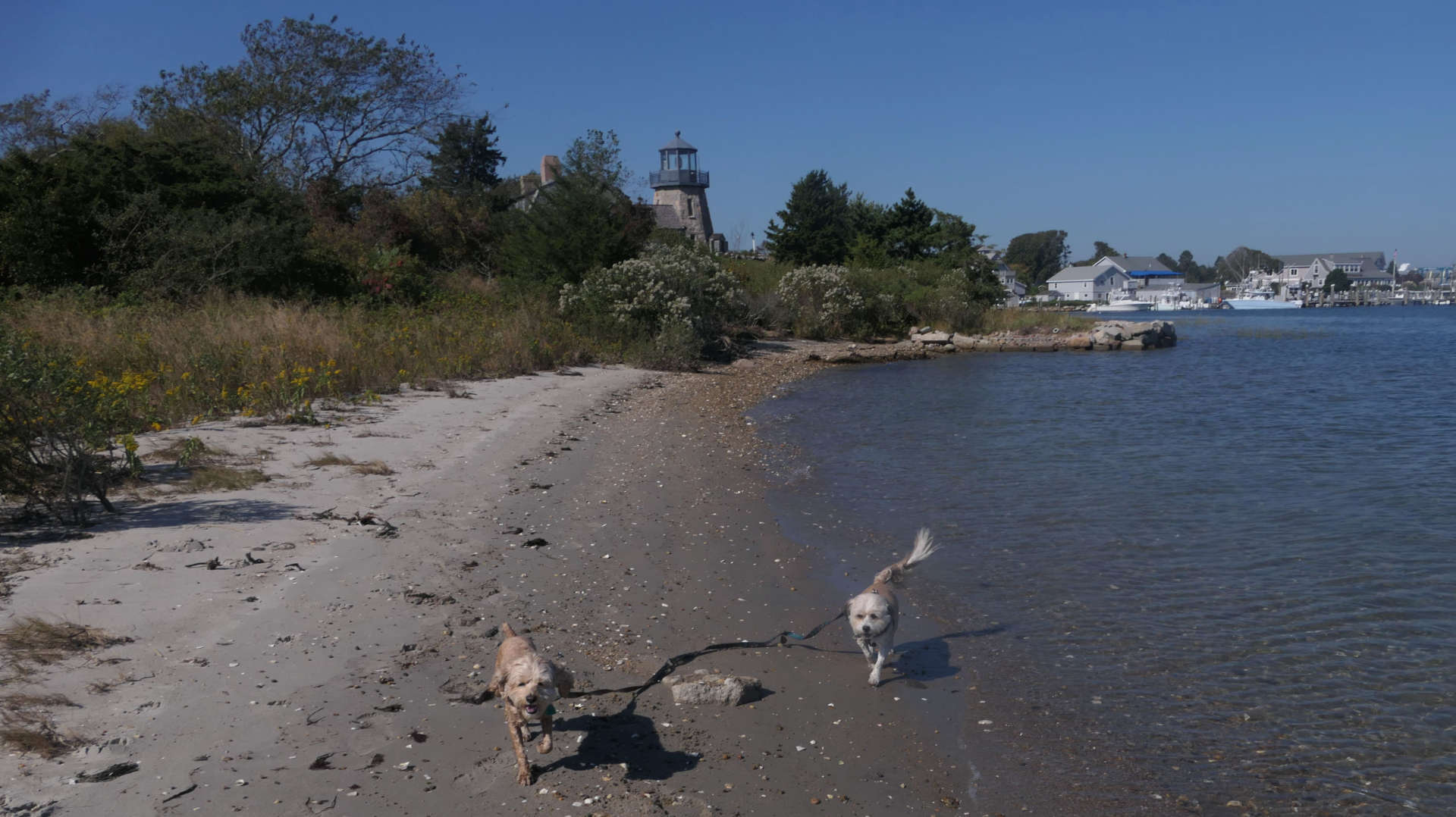South_Kingstown214