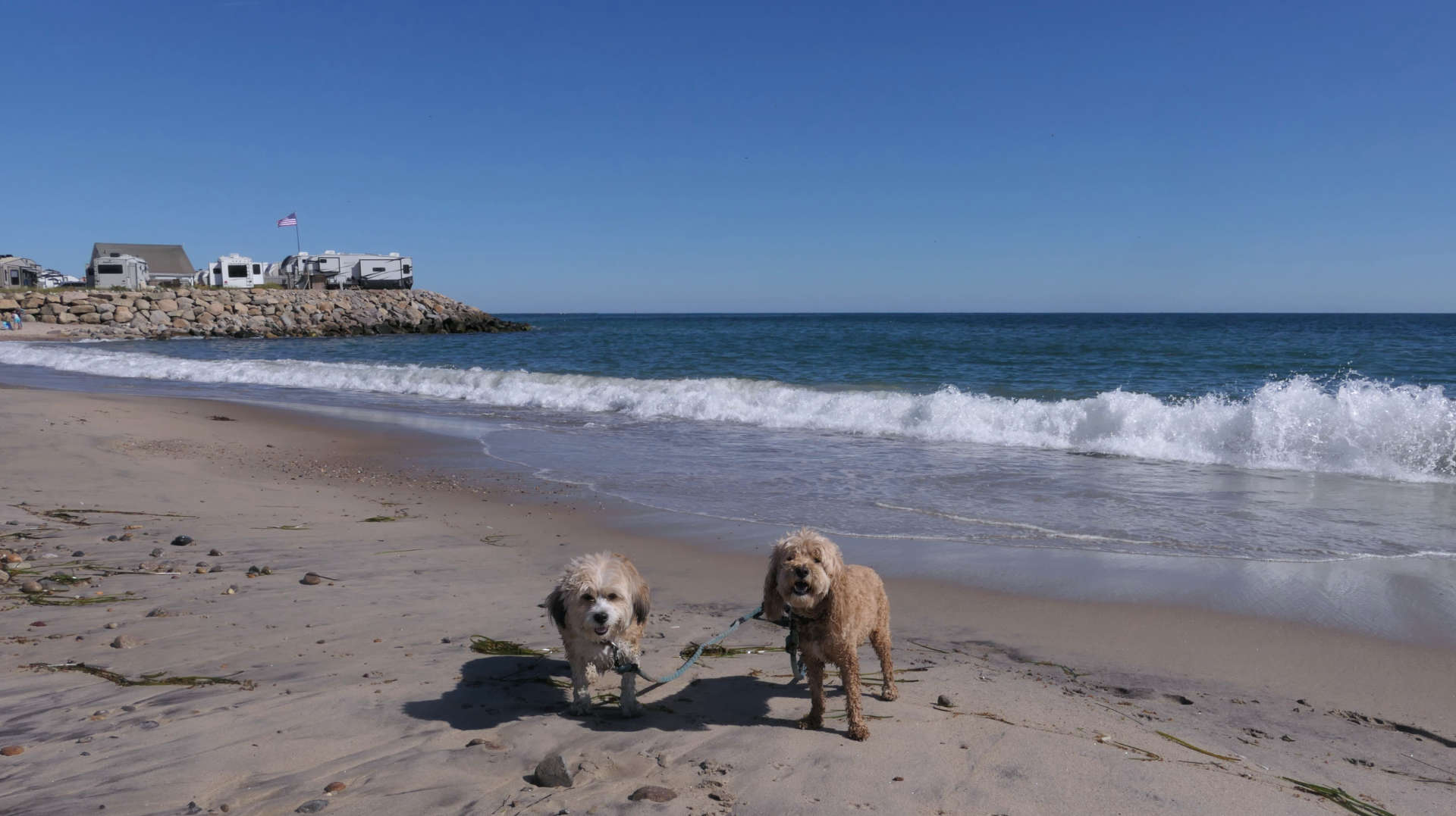 South_Kingstown597