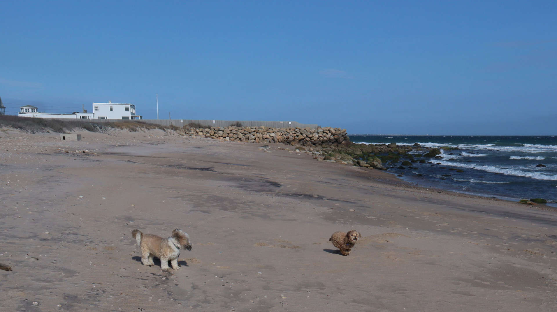 South_Kingstown693