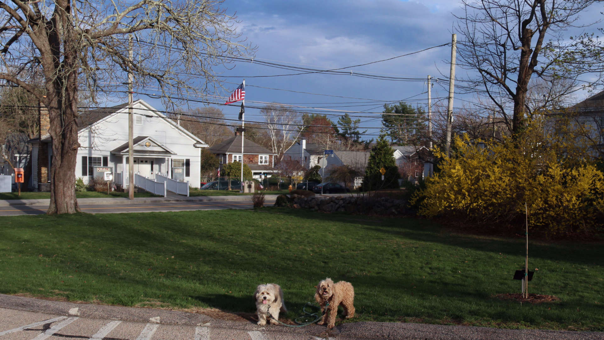 South_Kingstown707
