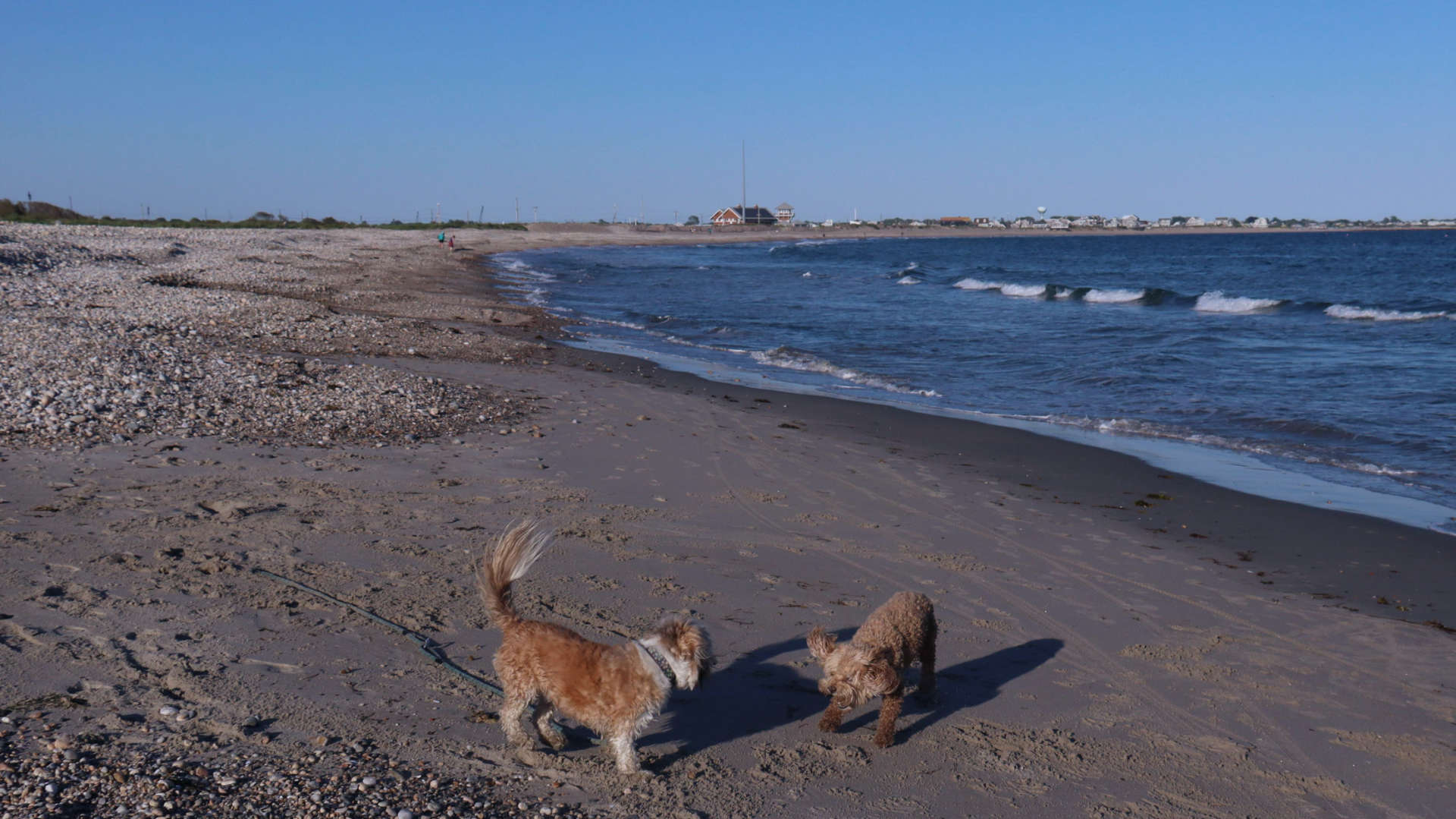 South_Kingstown739