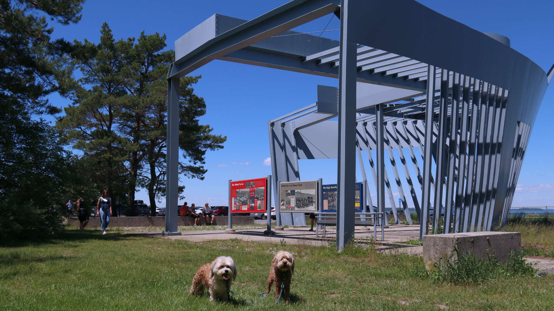 South_Portland14