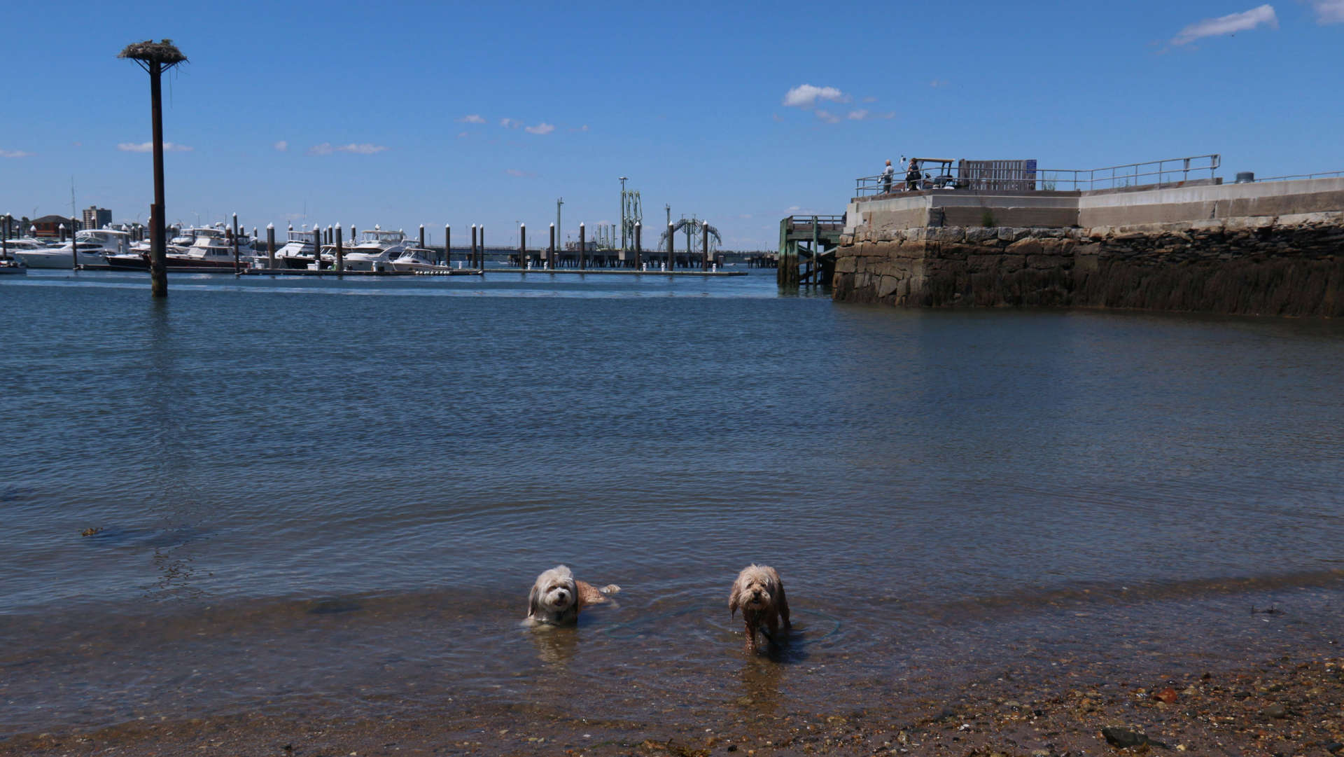 South_Portland24