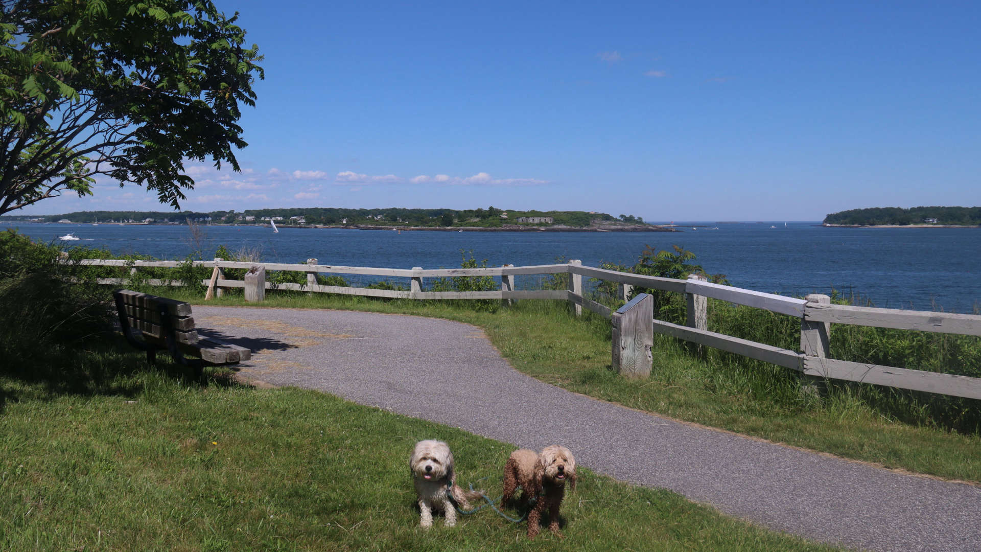 South_Portland33