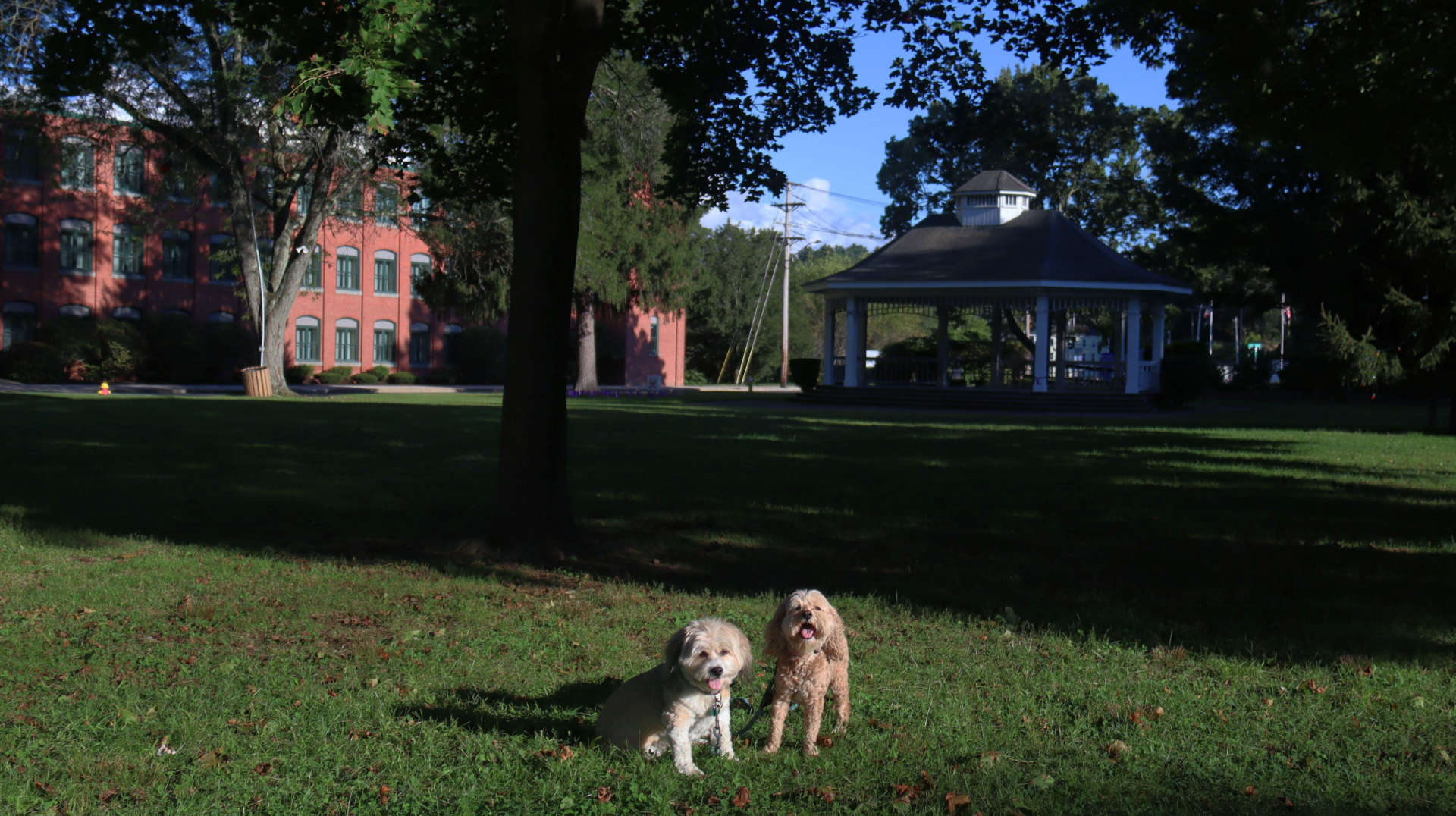 Southbridge23