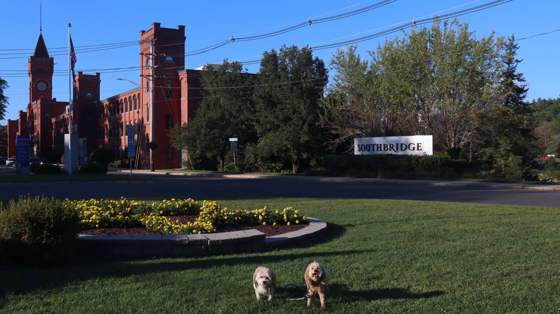 Southbridge29