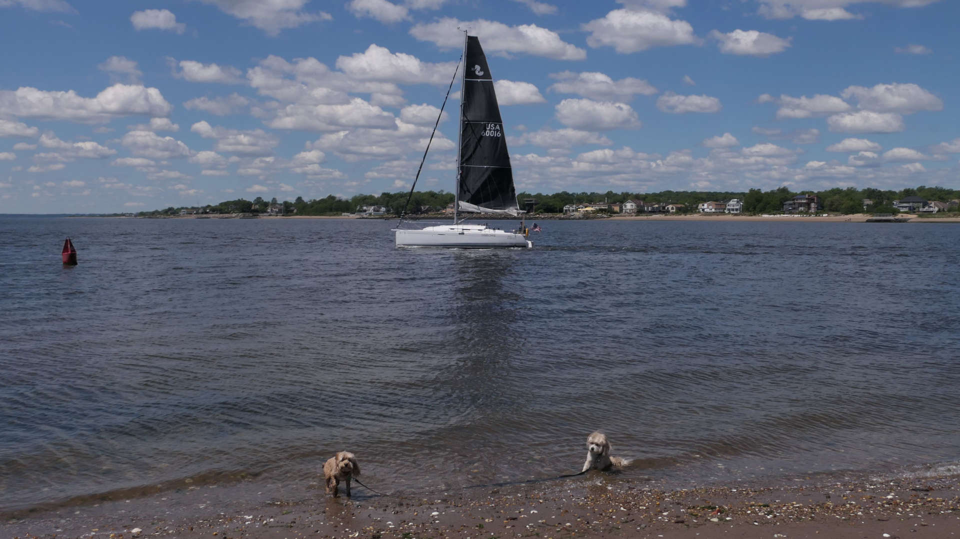 Staten_Island107
