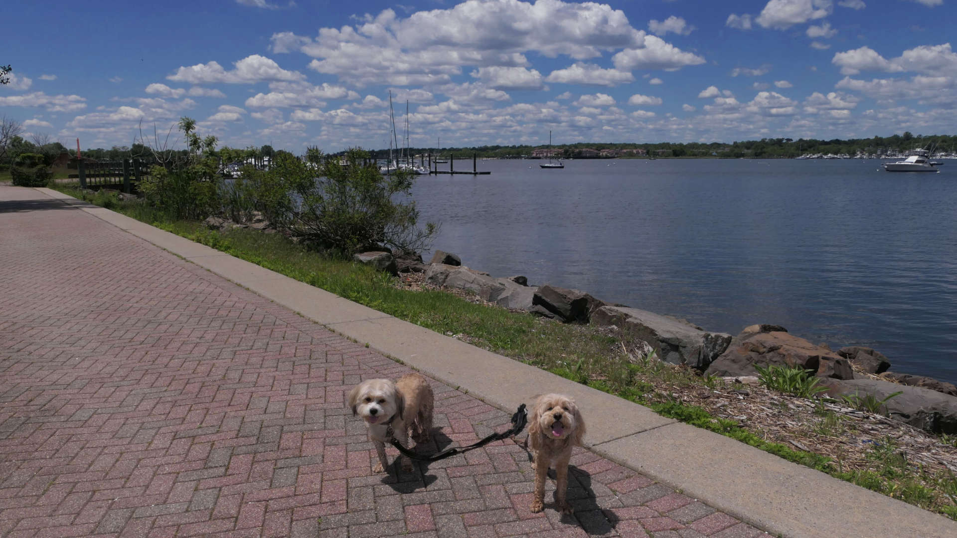 Staten_Island116