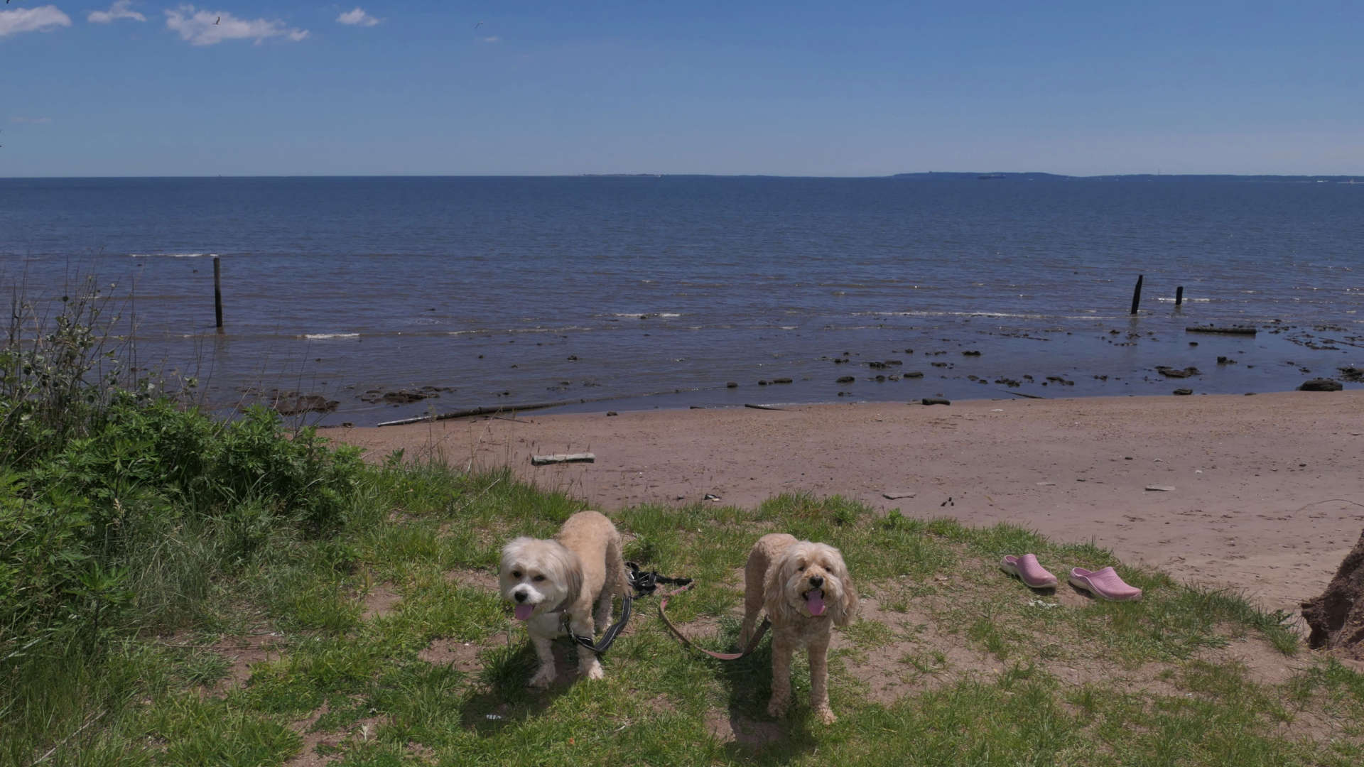Staten_Island125