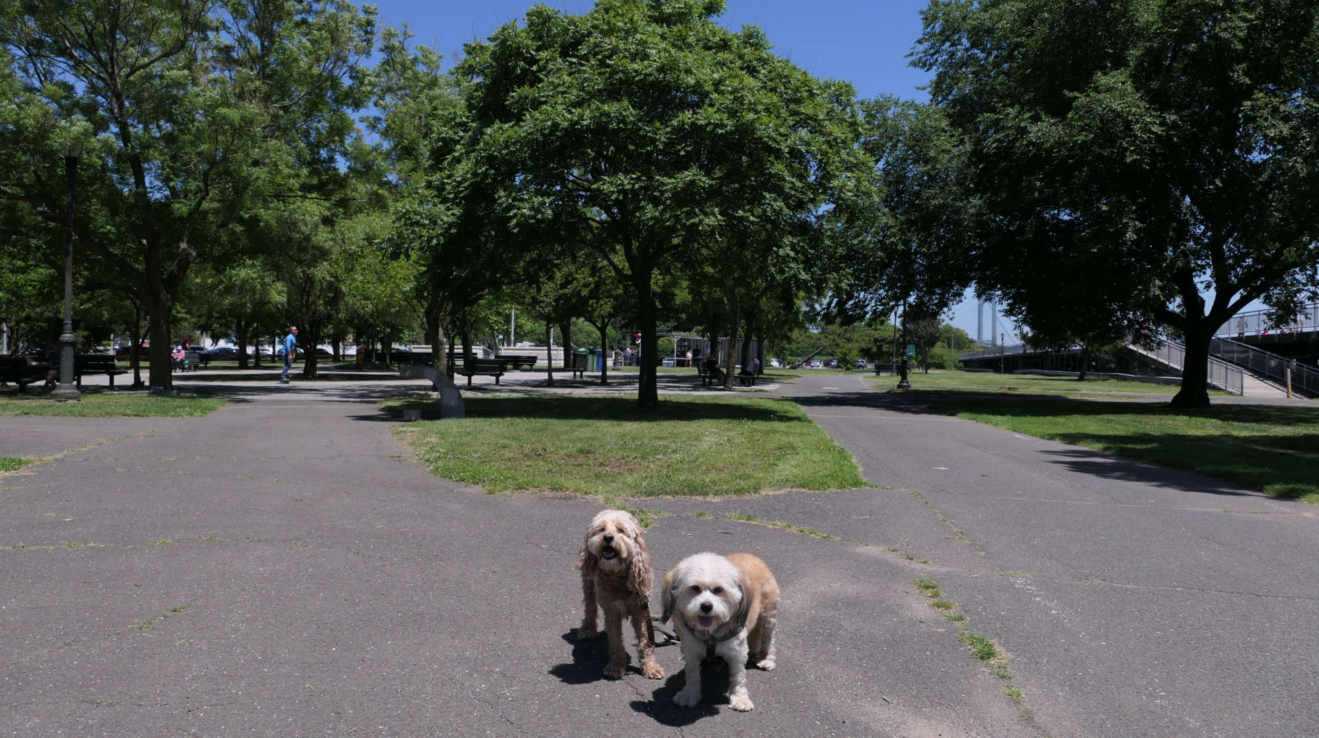 Staten_Island23