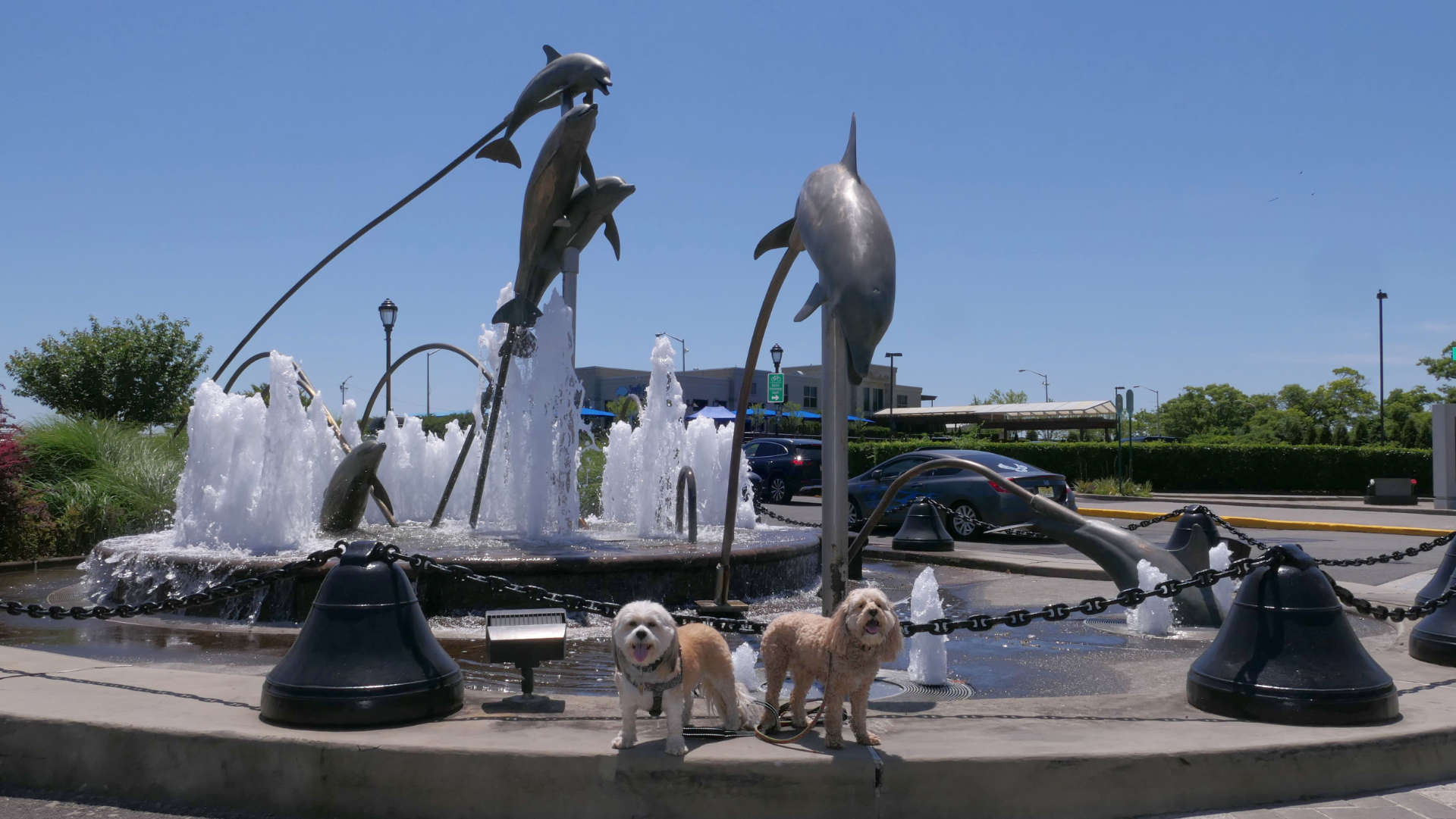 Staten_Island24