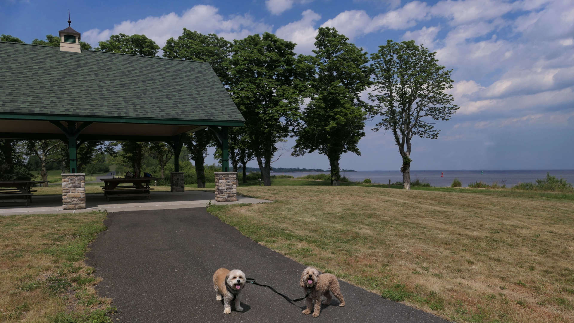 Staten_Island5