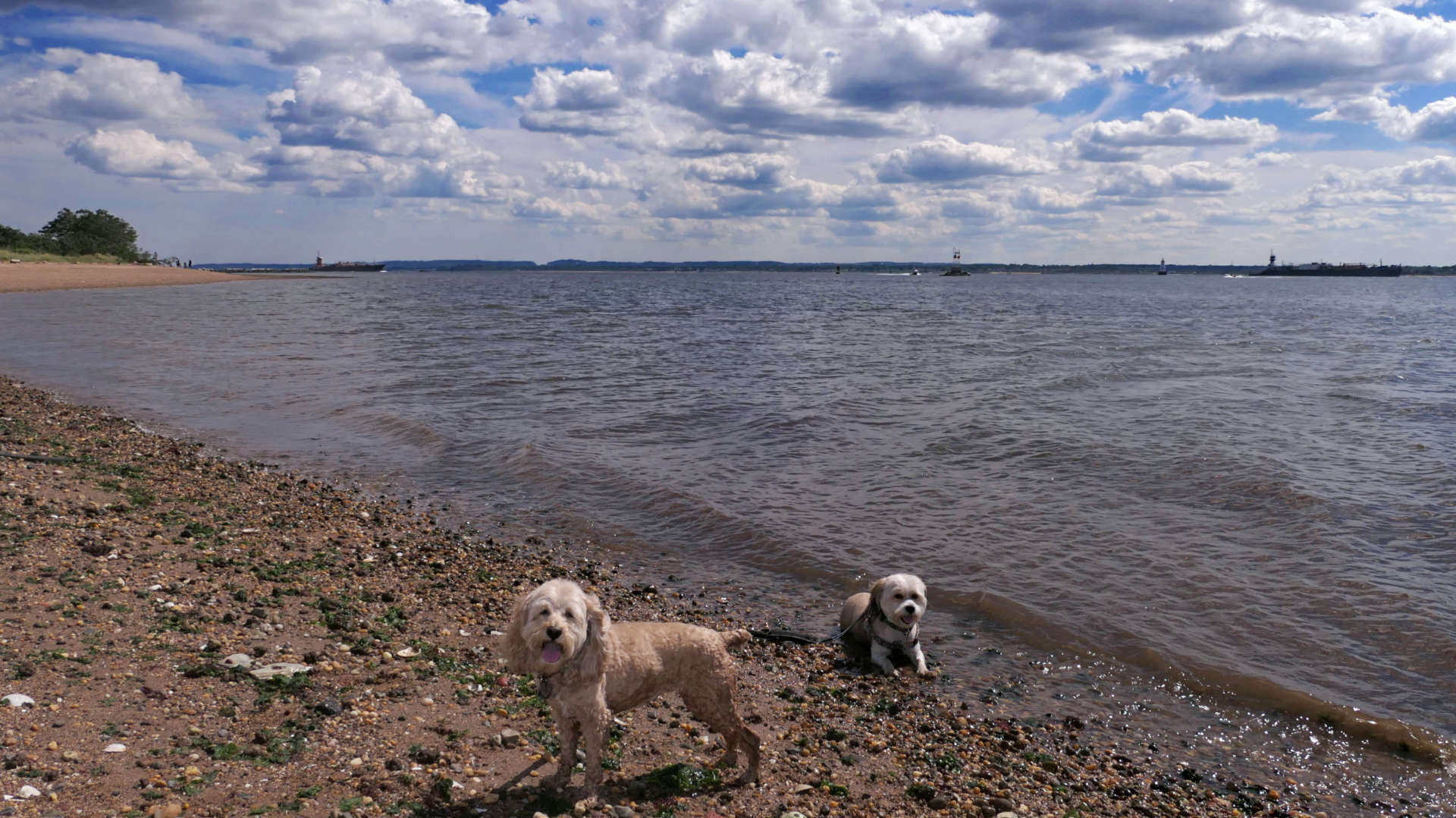 Staten_Island52