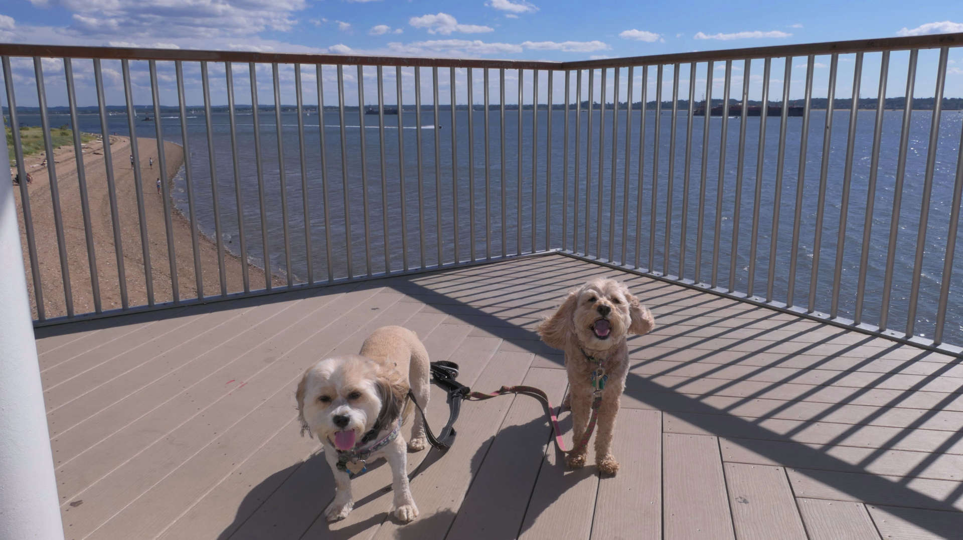Staten_Island67